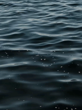 NL_Social_MAY_WaterfrontProposal.gif