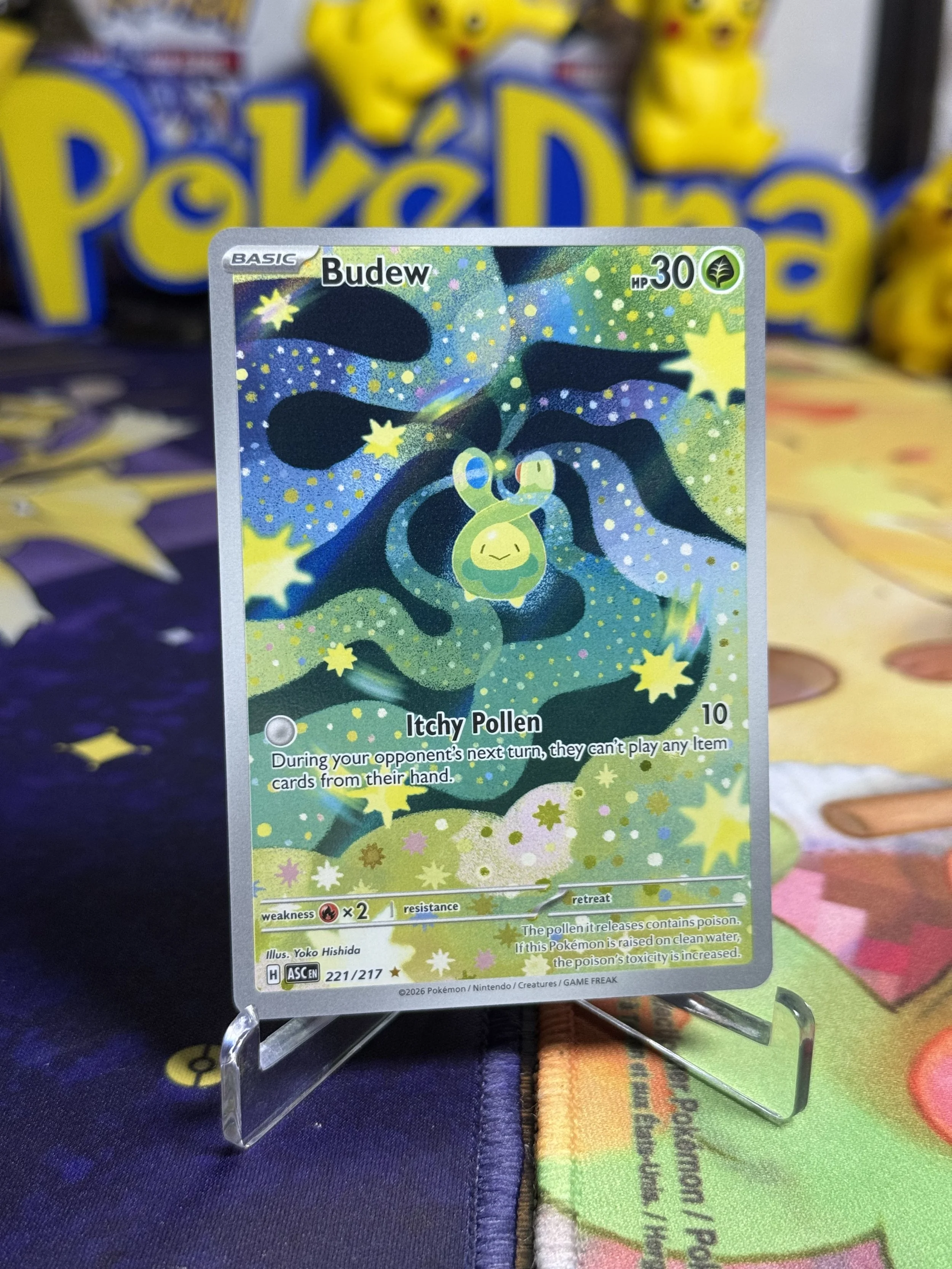 Budew Illustration Rare