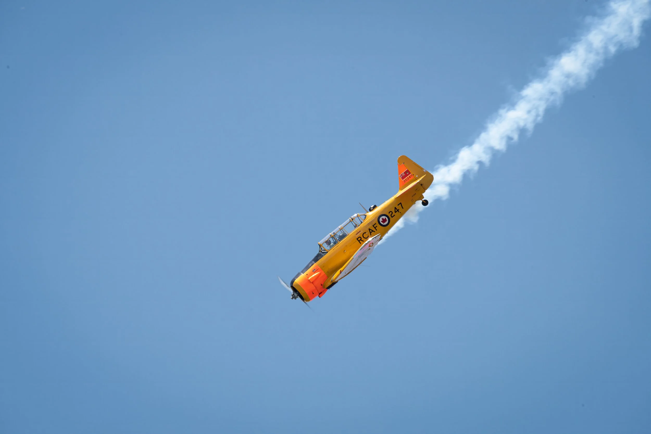 _DSC4147-Edit.jpg