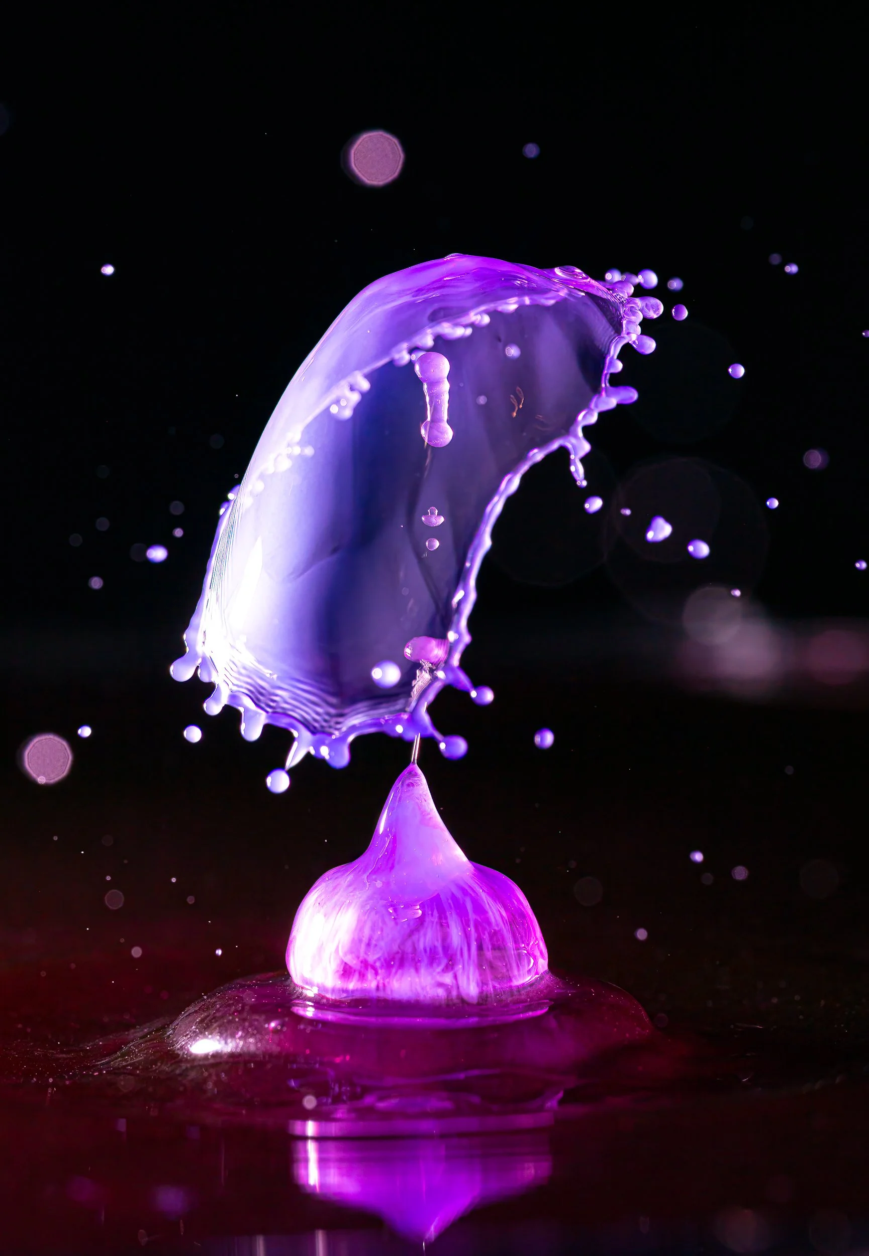 _DM16791-Edit.jpg