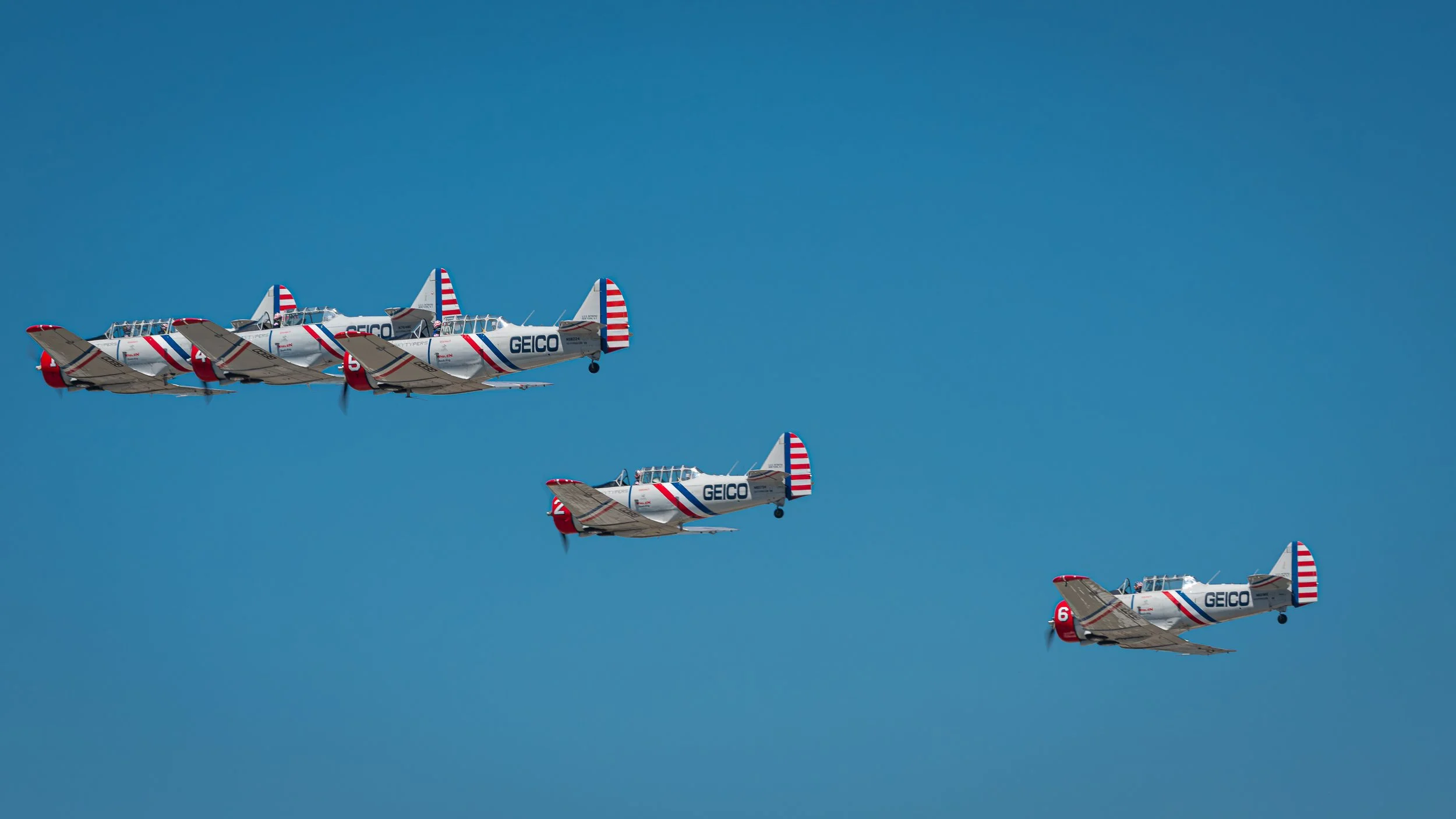 _DSC8566.jpg