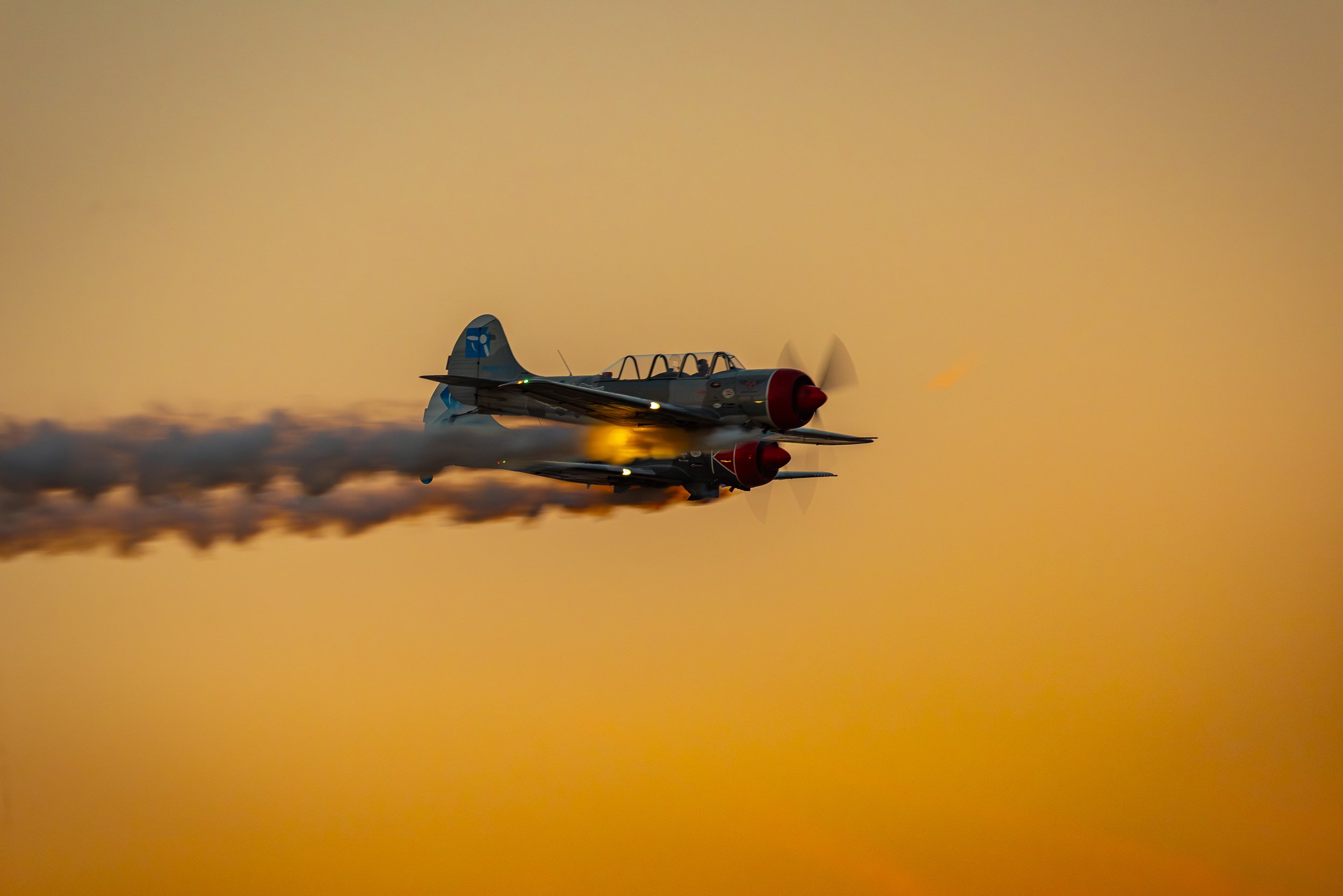 _DSC7321.jpg