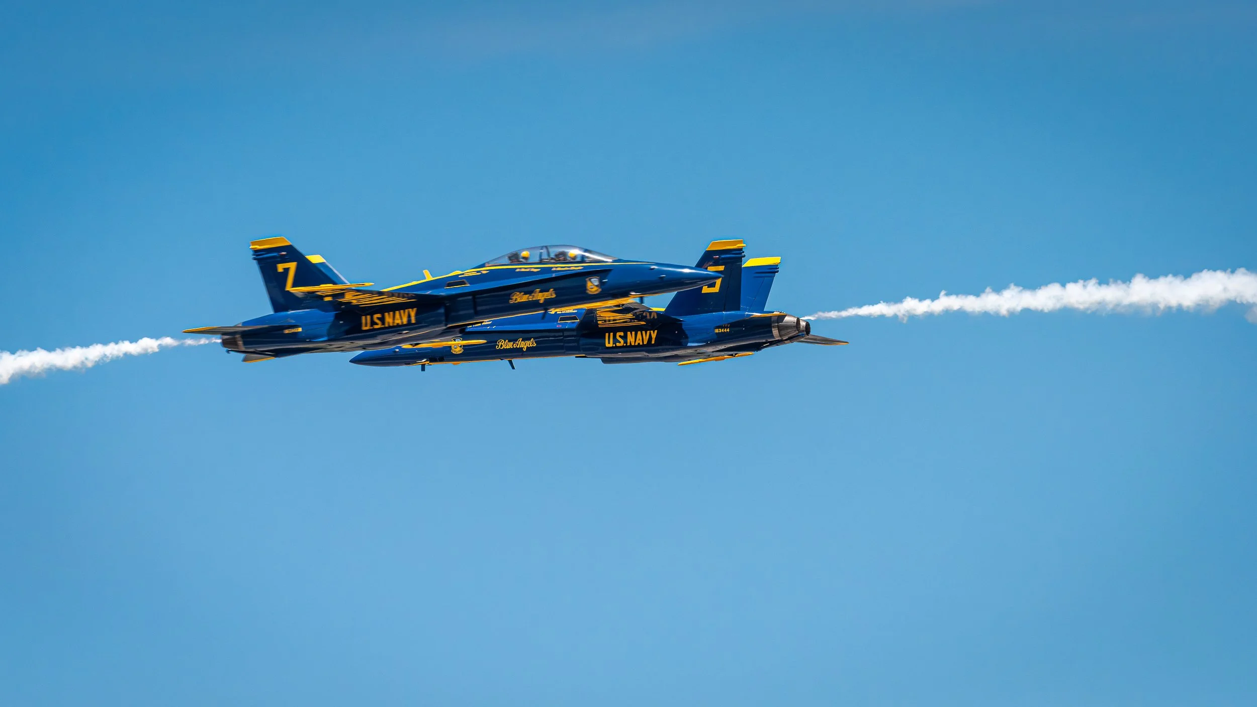 _DSC7411.jpg