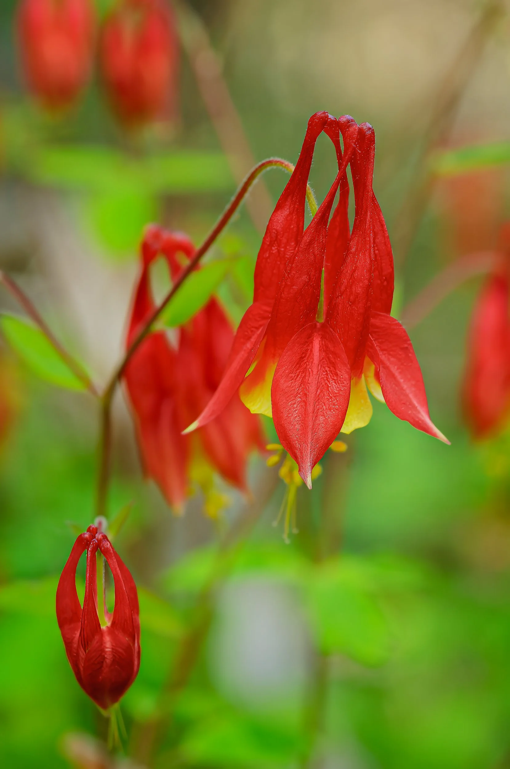 DSC_0476.jpg