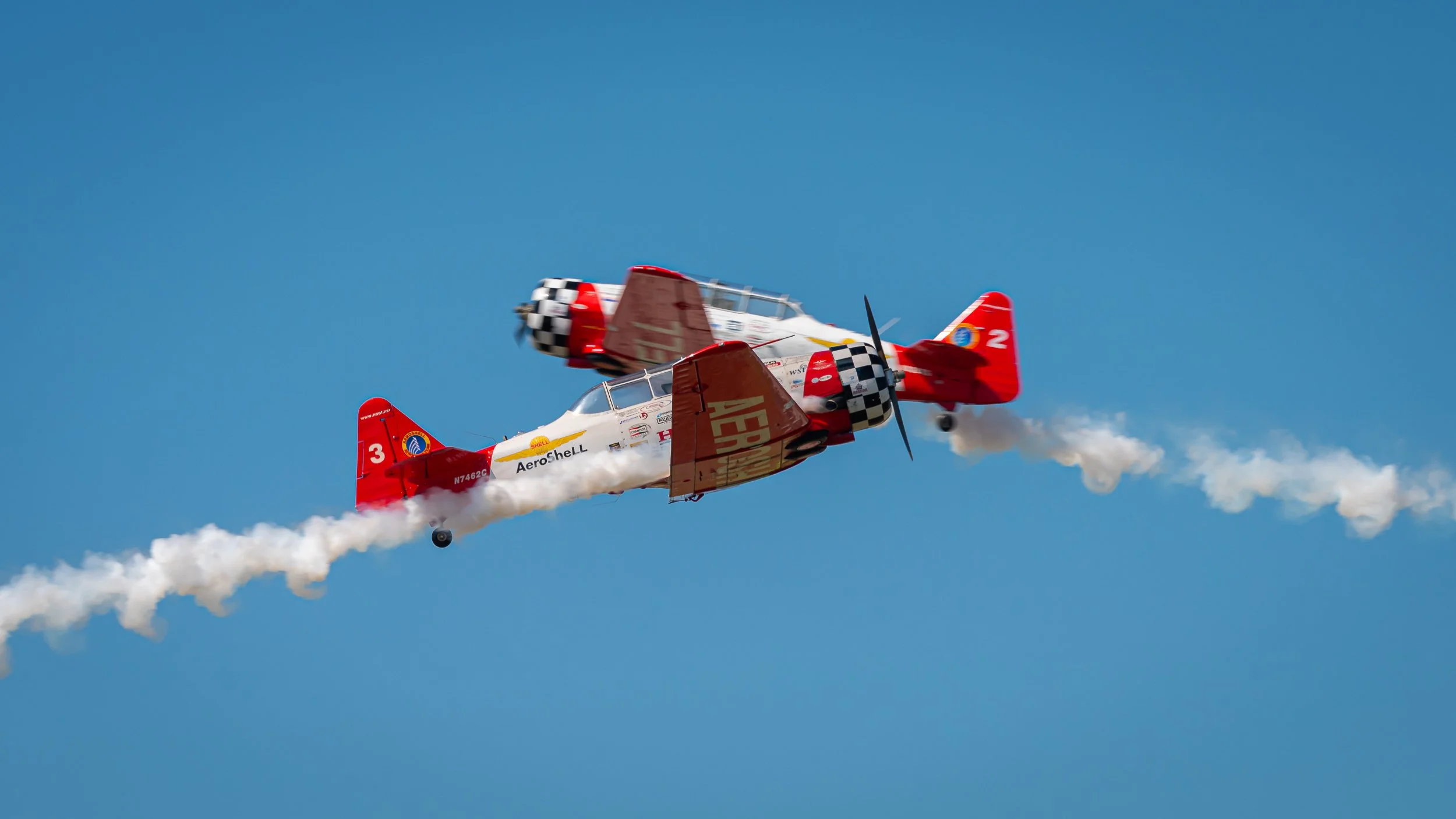 _DSC8462.jpg