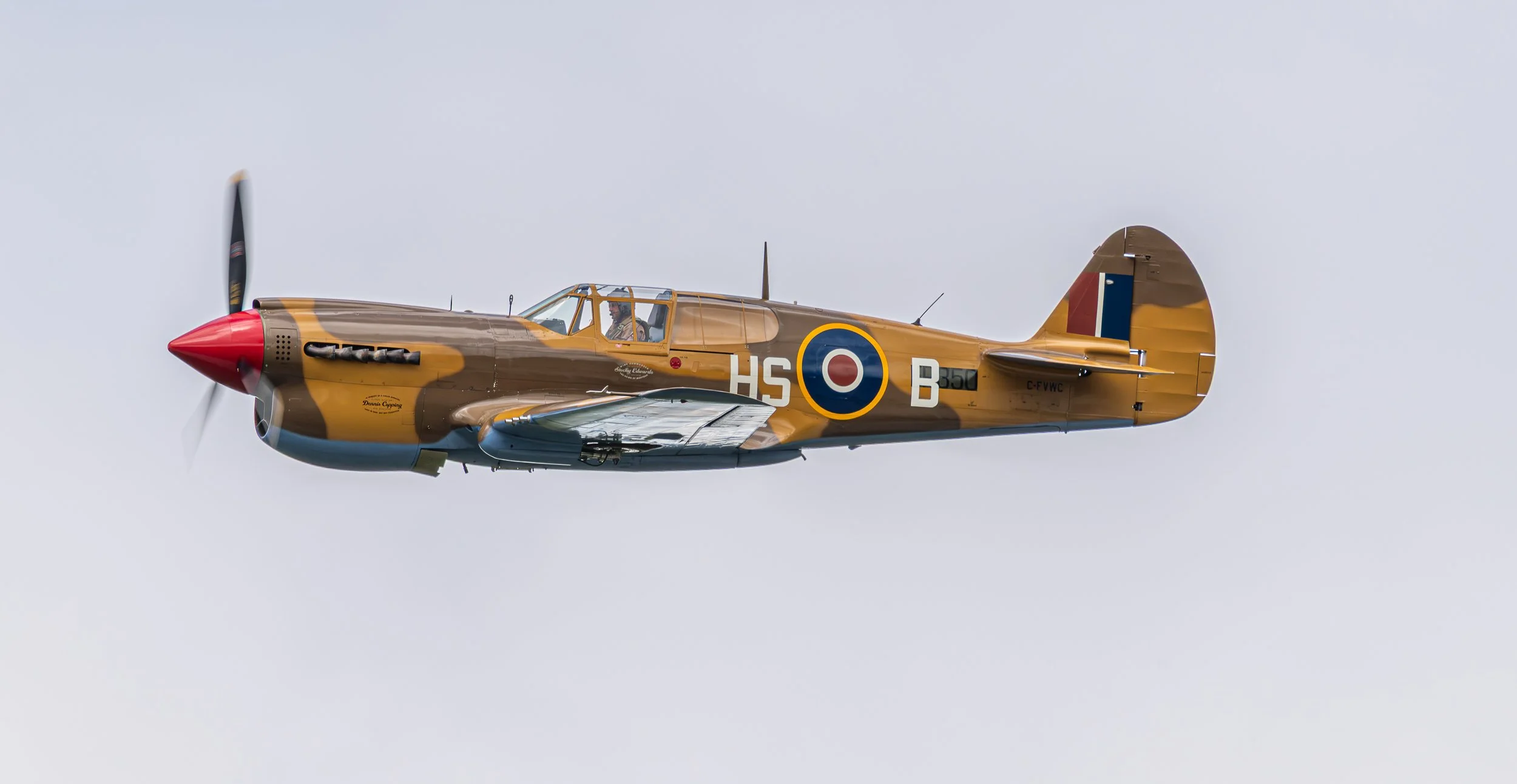 _8503466-Enhanced-NR.jpg