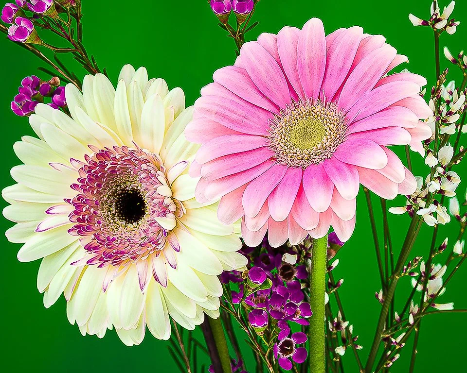07Apr13 Flowers-300-Edit.jpg