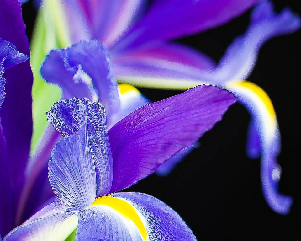 07Apr13 Flowers-30-Edit.jpg