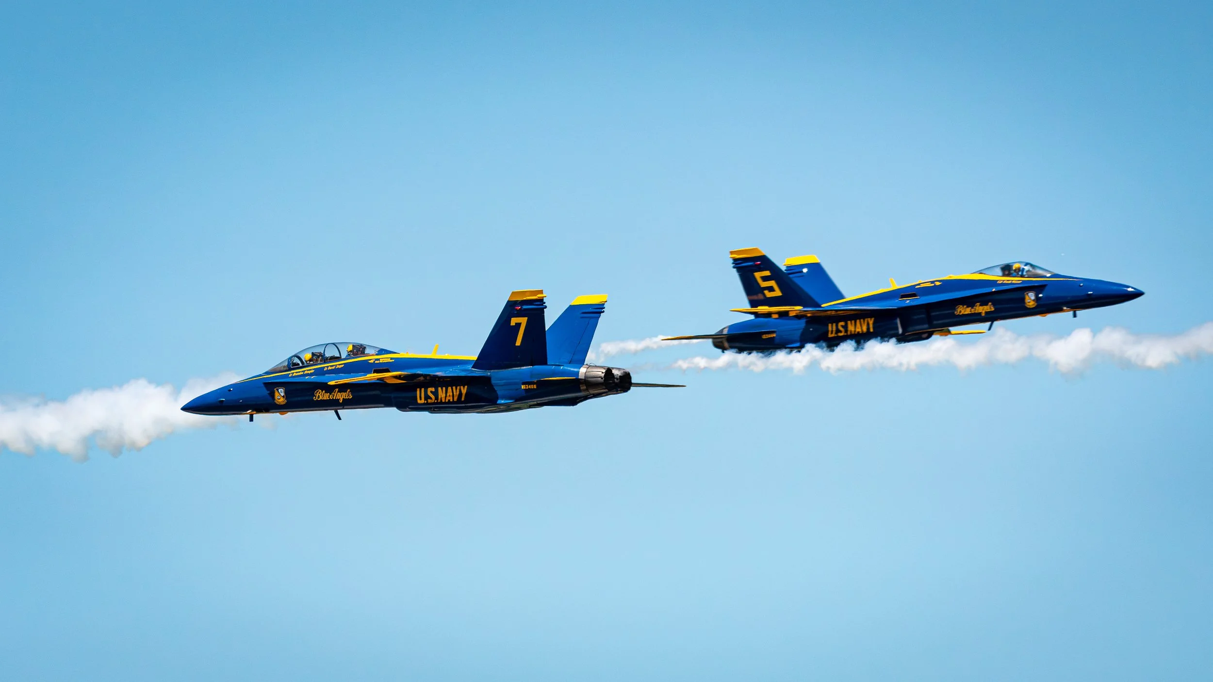 _DSC7458.jpg