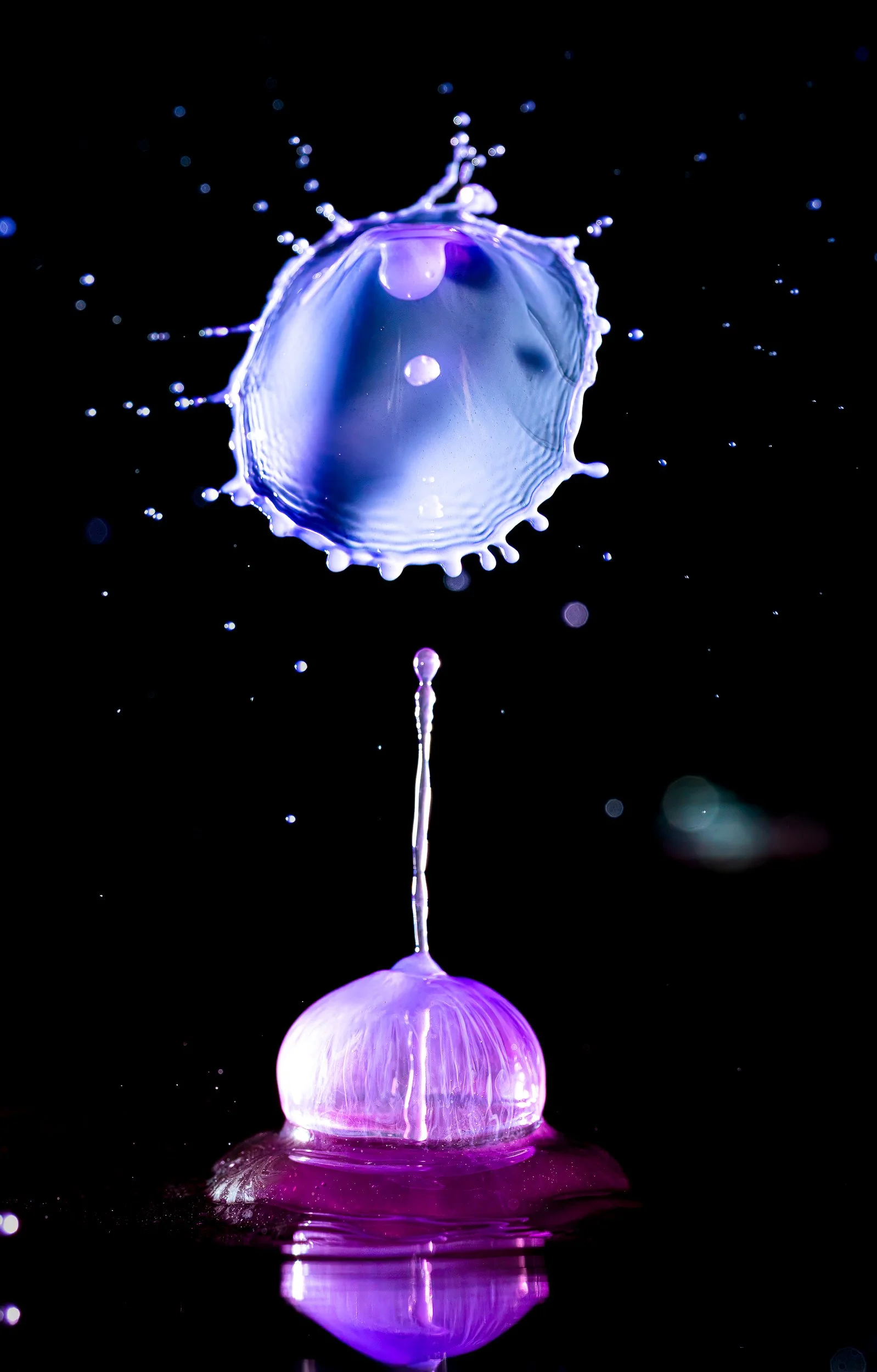 _DM16875-Edit.jpg