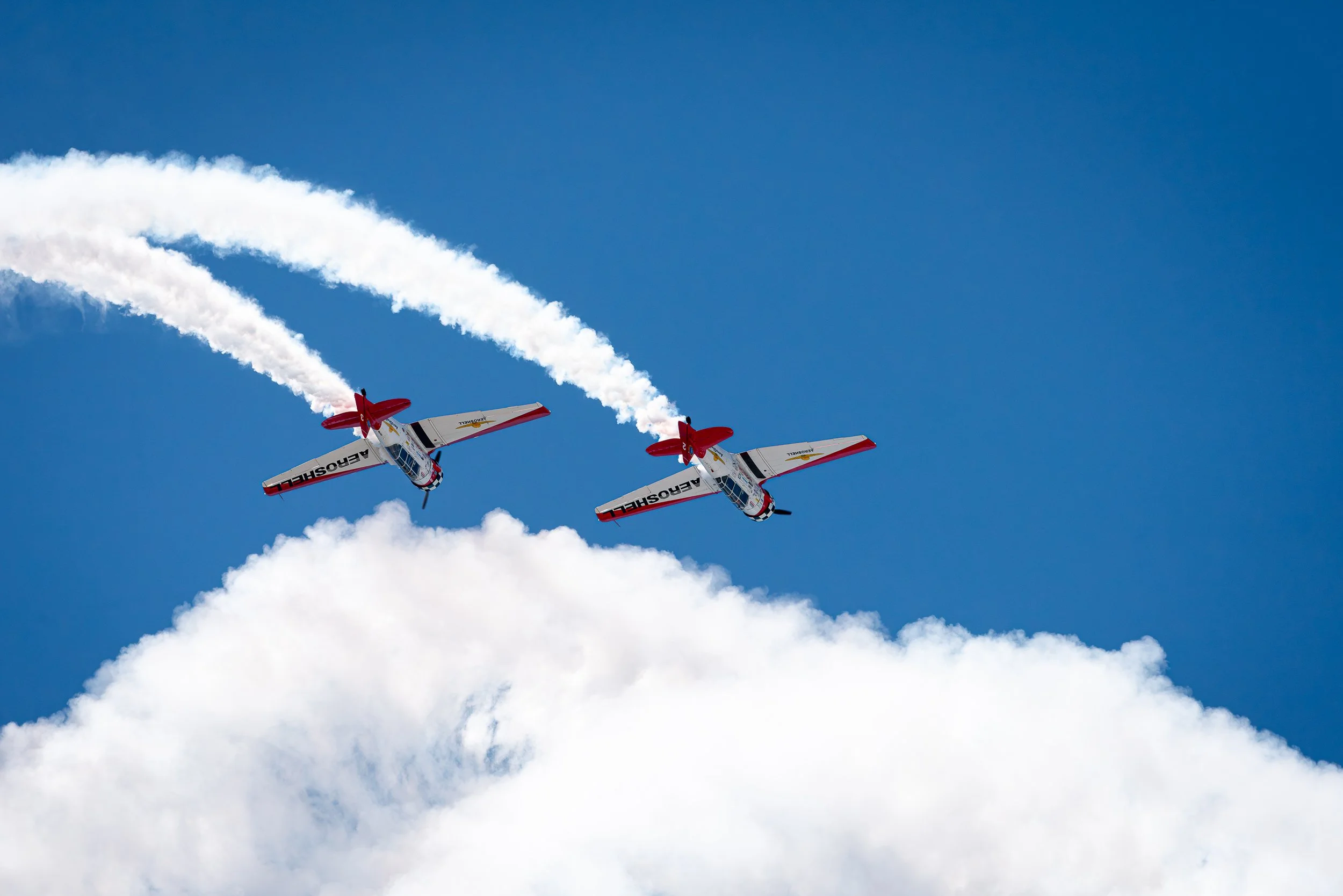 _DSC7508.jpg