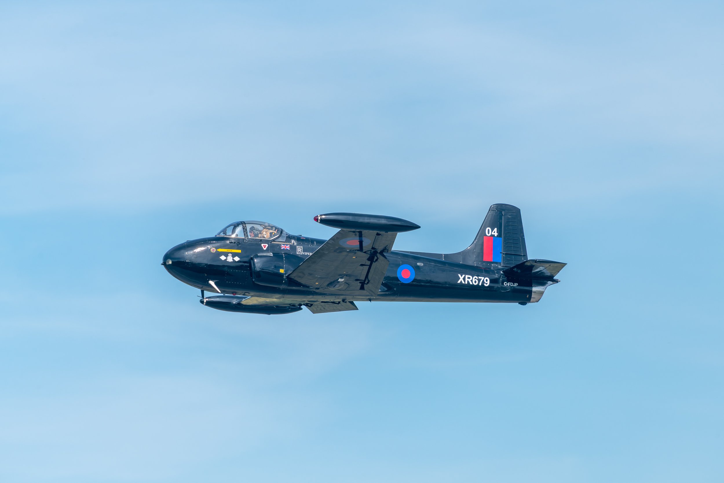 _8502493.jpg