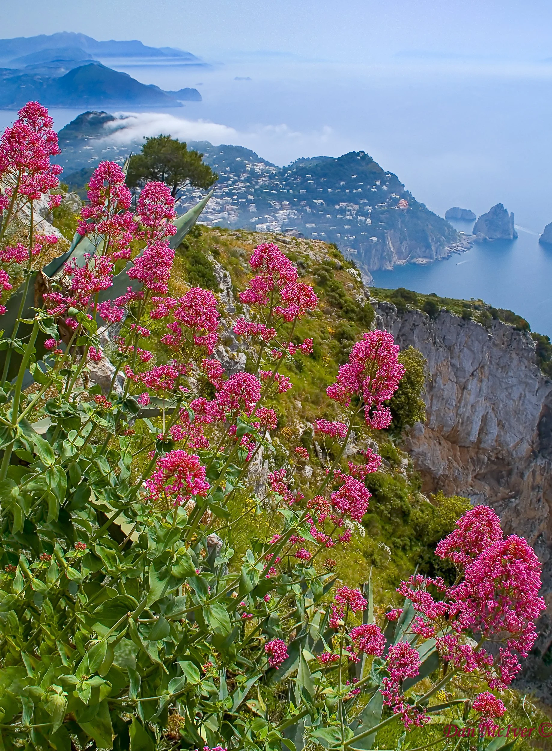 Capri.jpg
