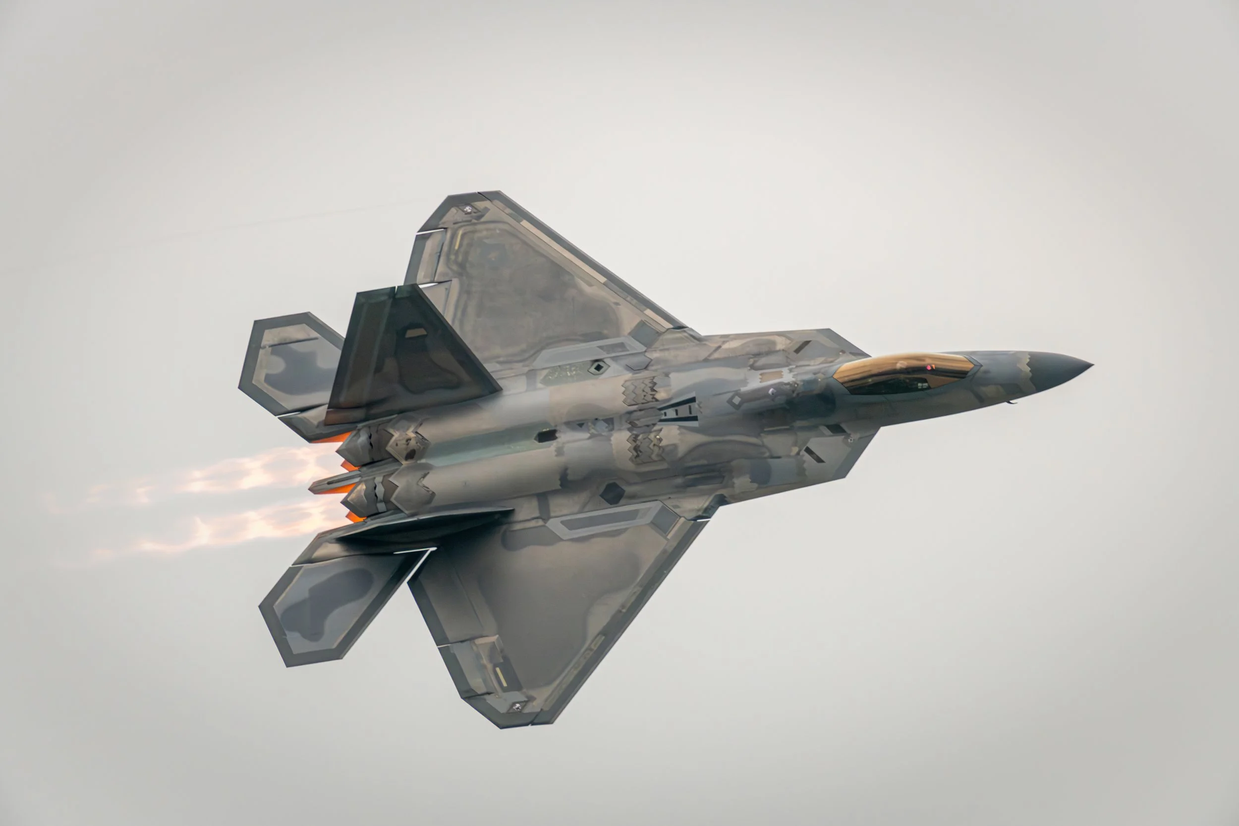 _8501072.jpg