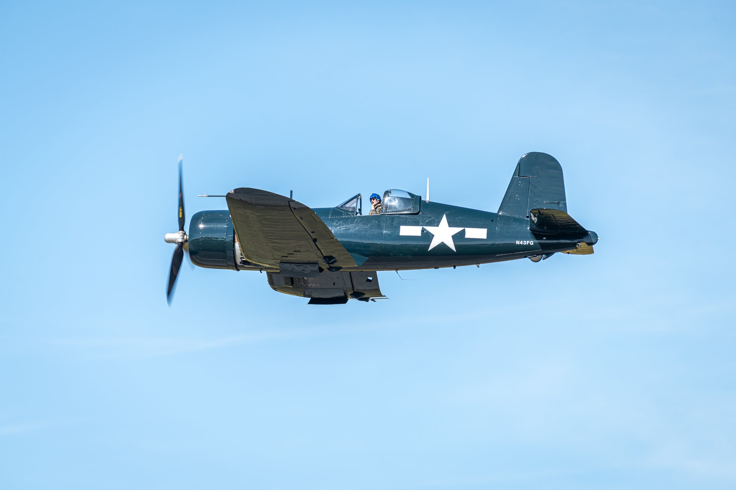 _8502722.jpg