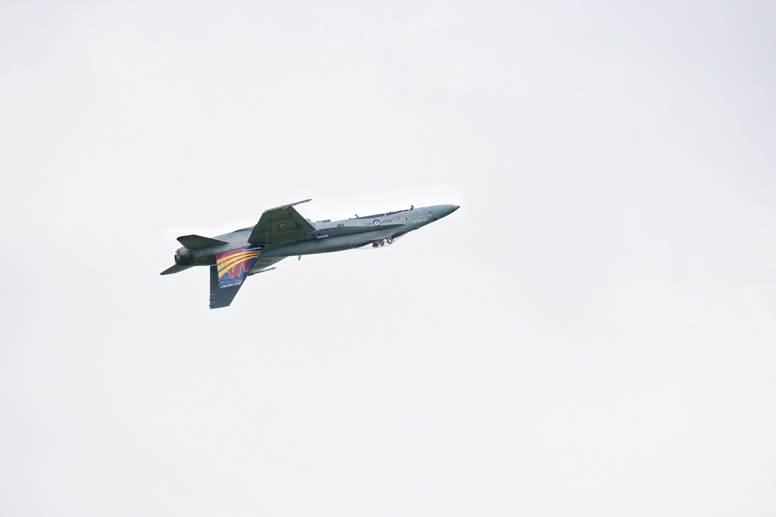 _8502943_DxO.jpg