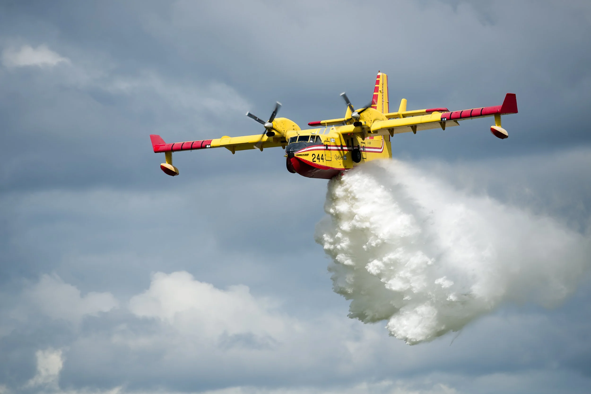 _DSC3173-sharpen-motion.jpg