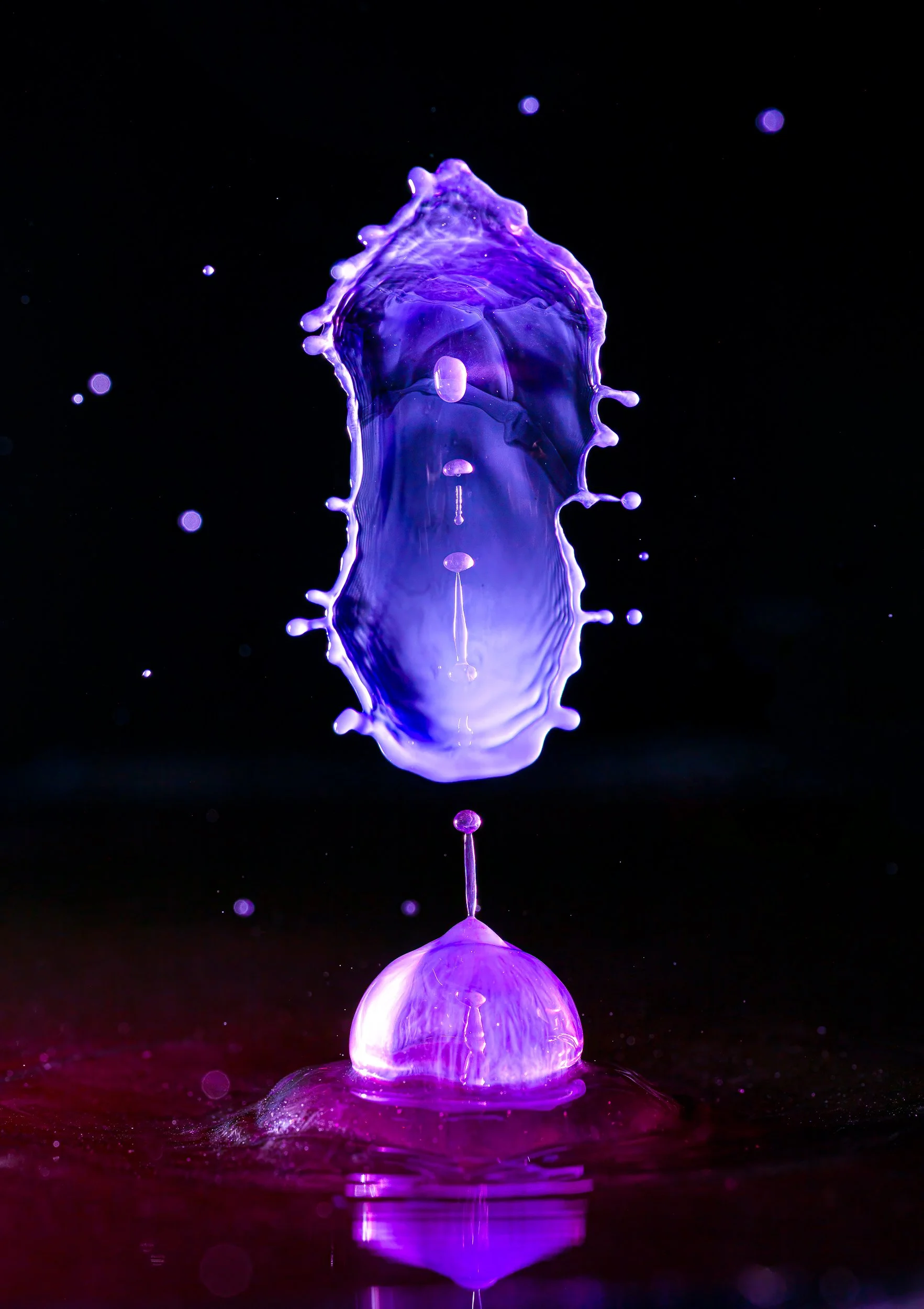 _DM16782-Edit.jpg