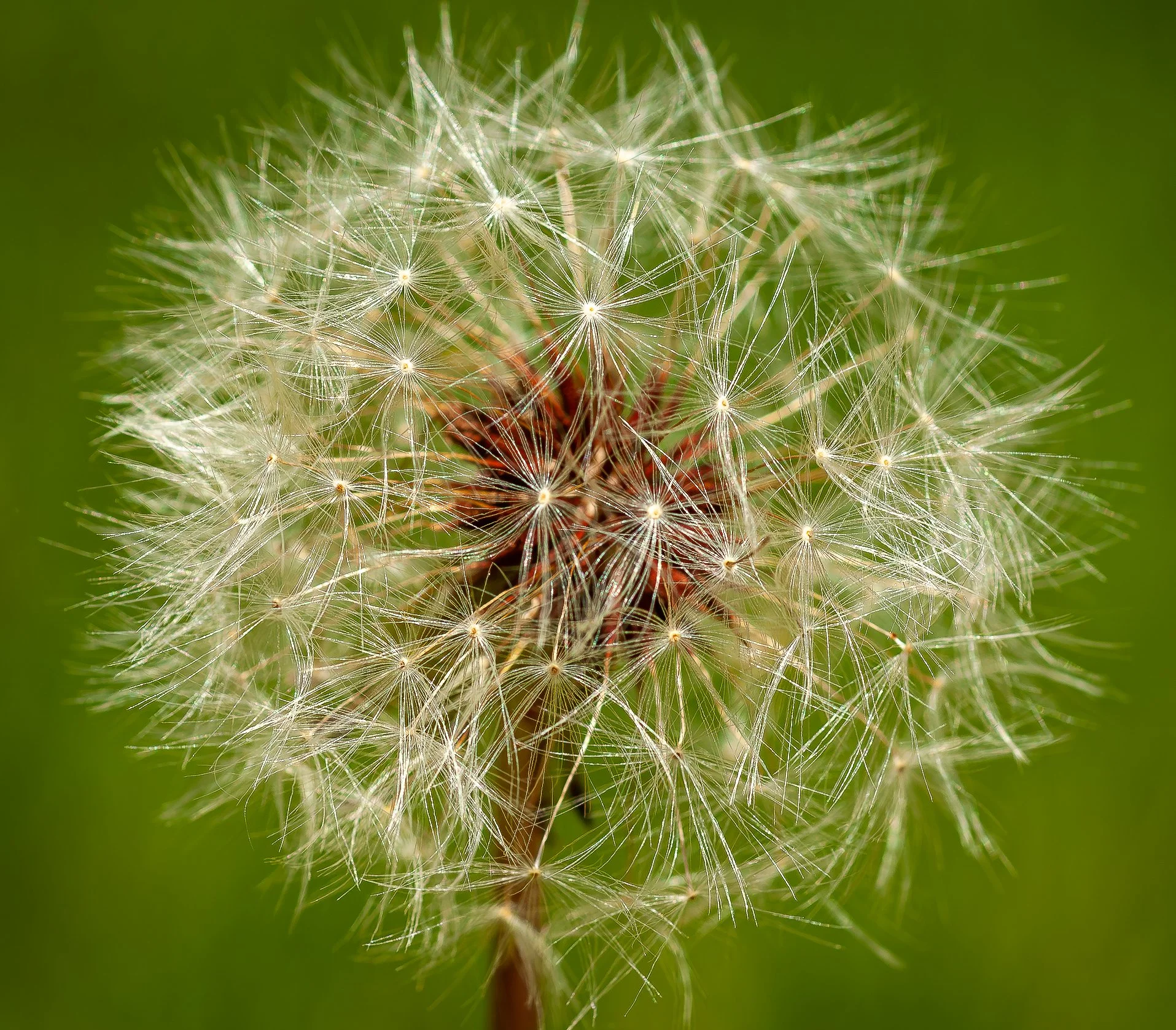 DSC_0456.jpg