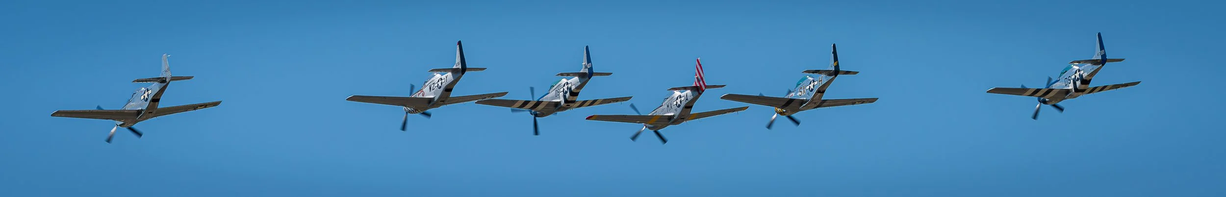 _DSC7848.jpg
