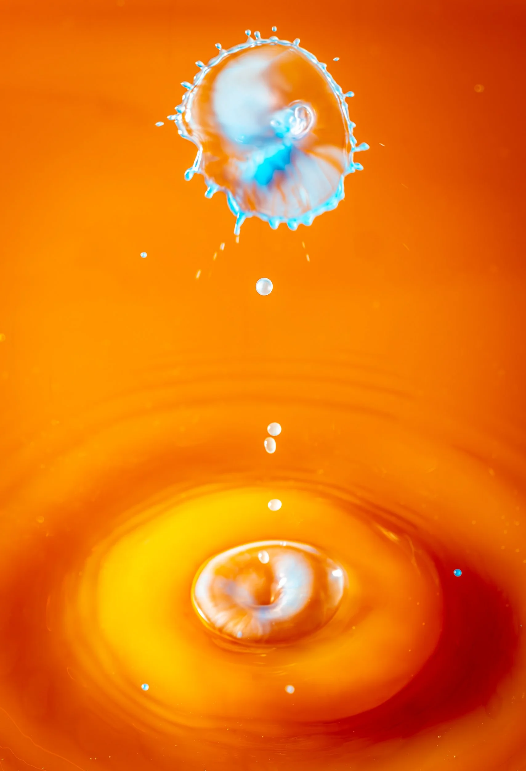 _DM16688-Enhanced-NR.jpg