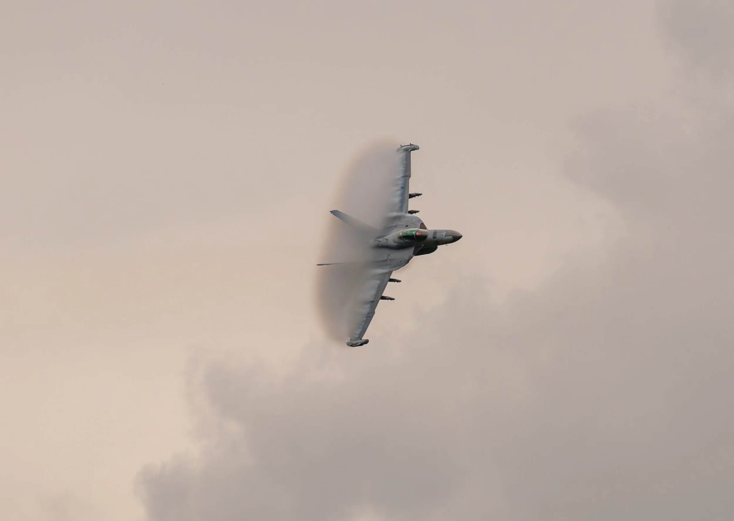 _8501497.jpg