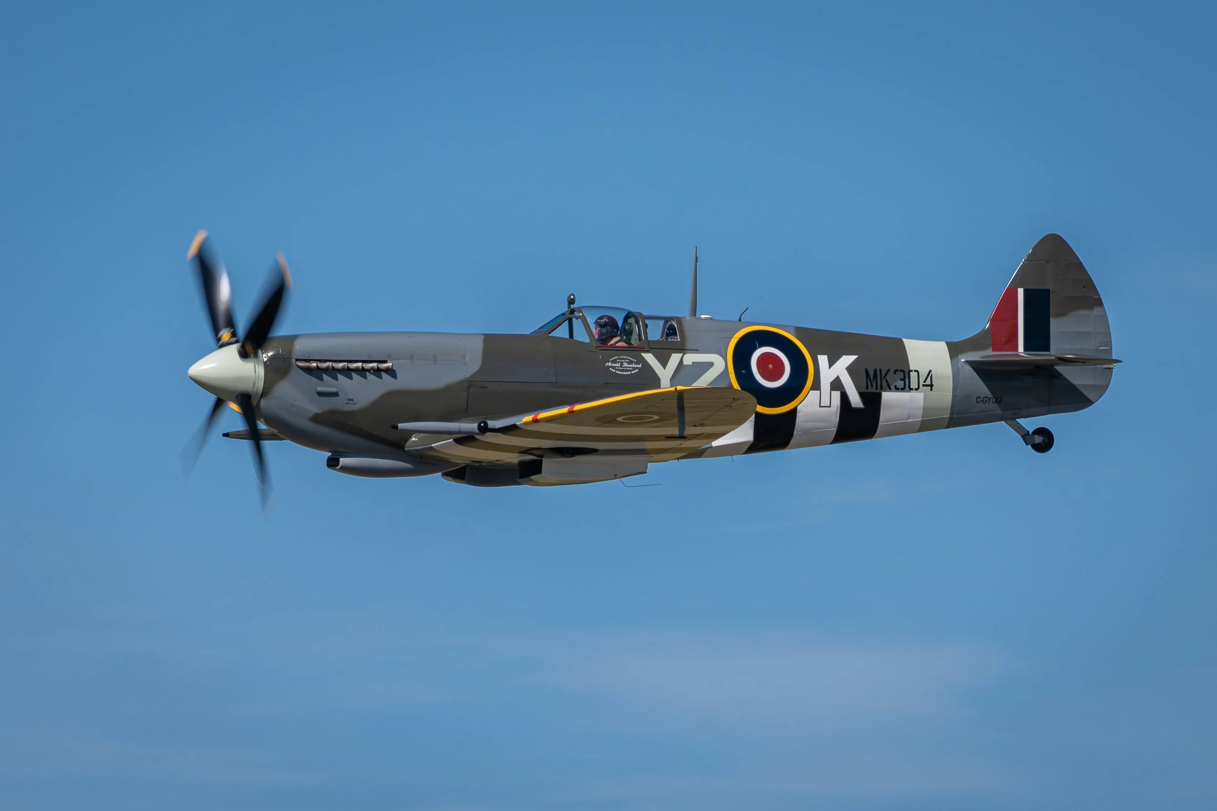 _8503125.jpg