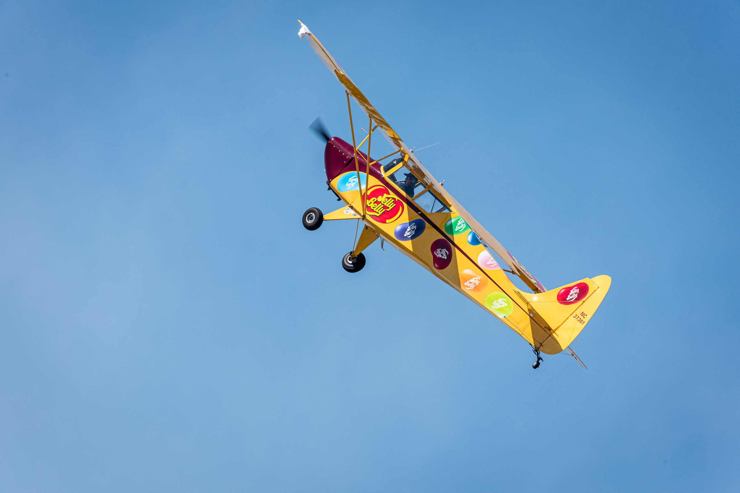 _DSC4215.jpg