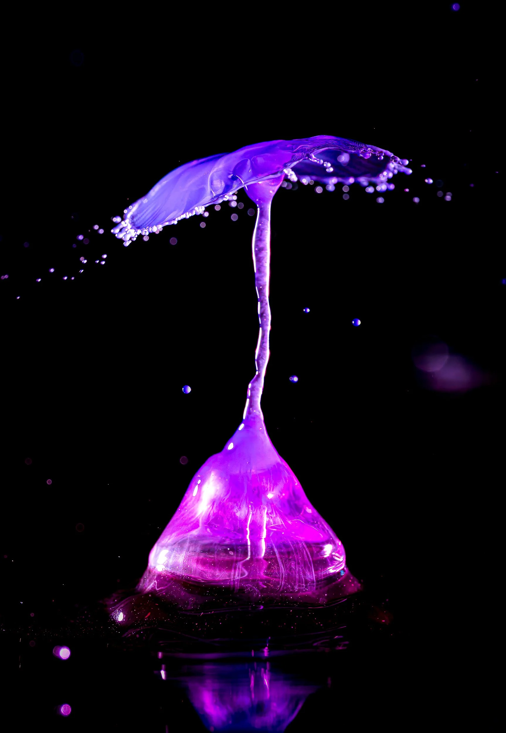 _DM16850-Edit.jpg