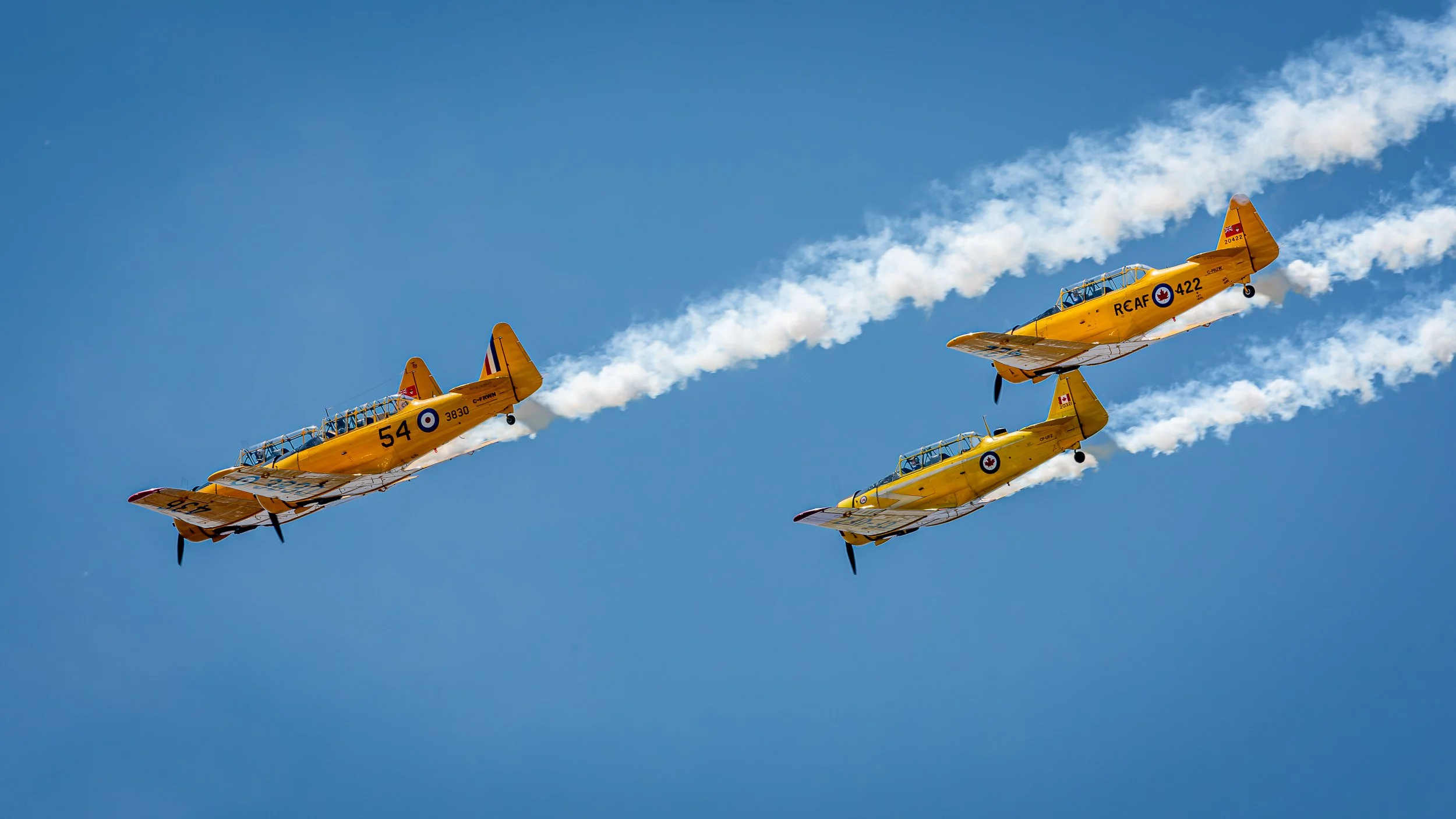 _DSC4474.jpg