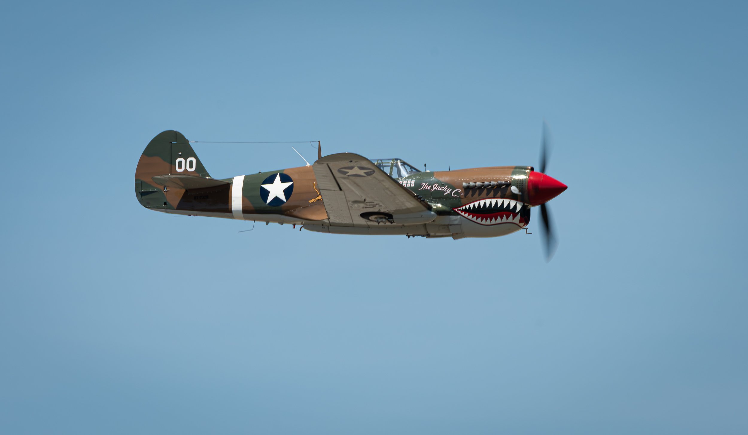_DSC9461.jpg