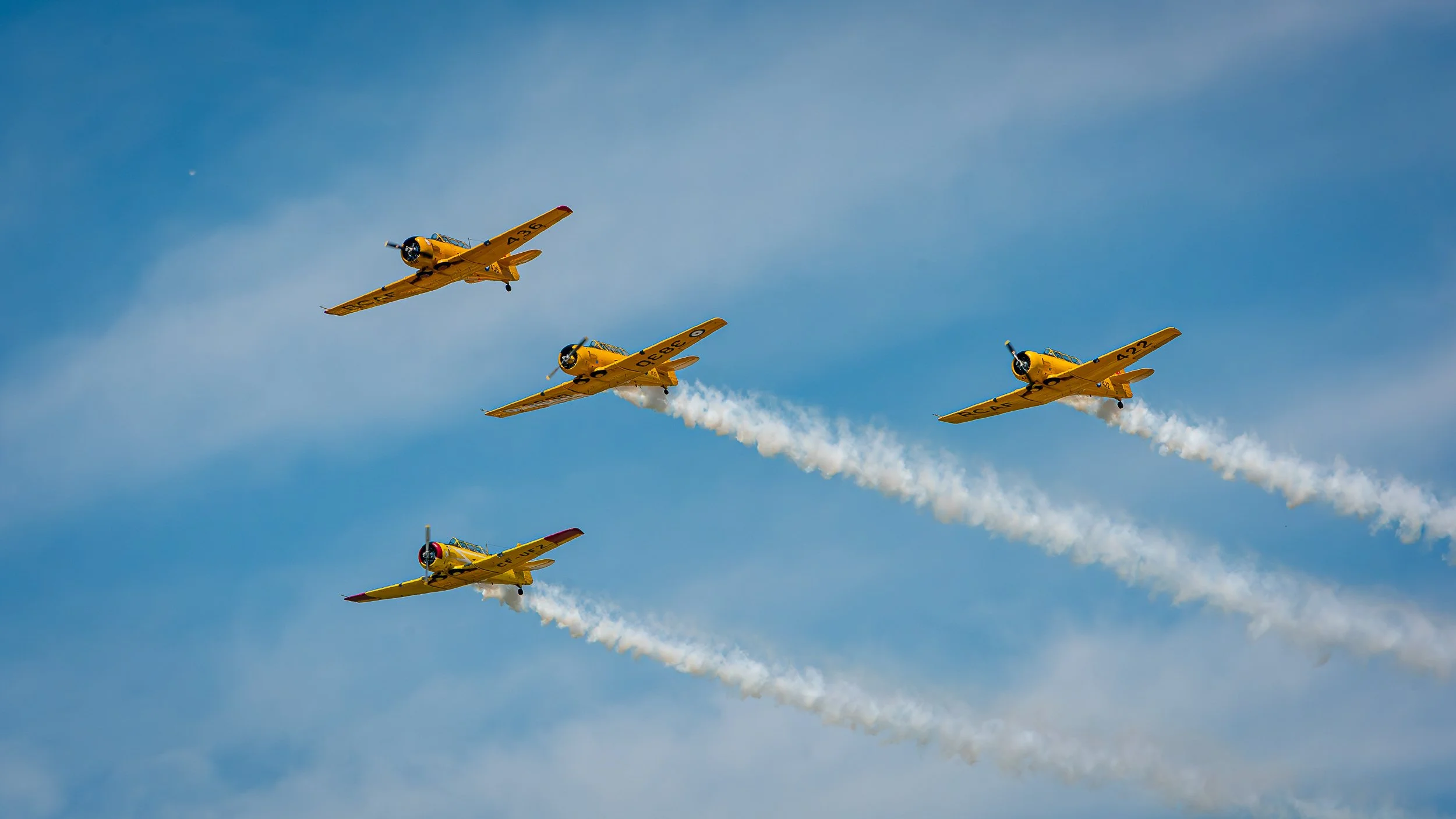 _DSC5185.jpg