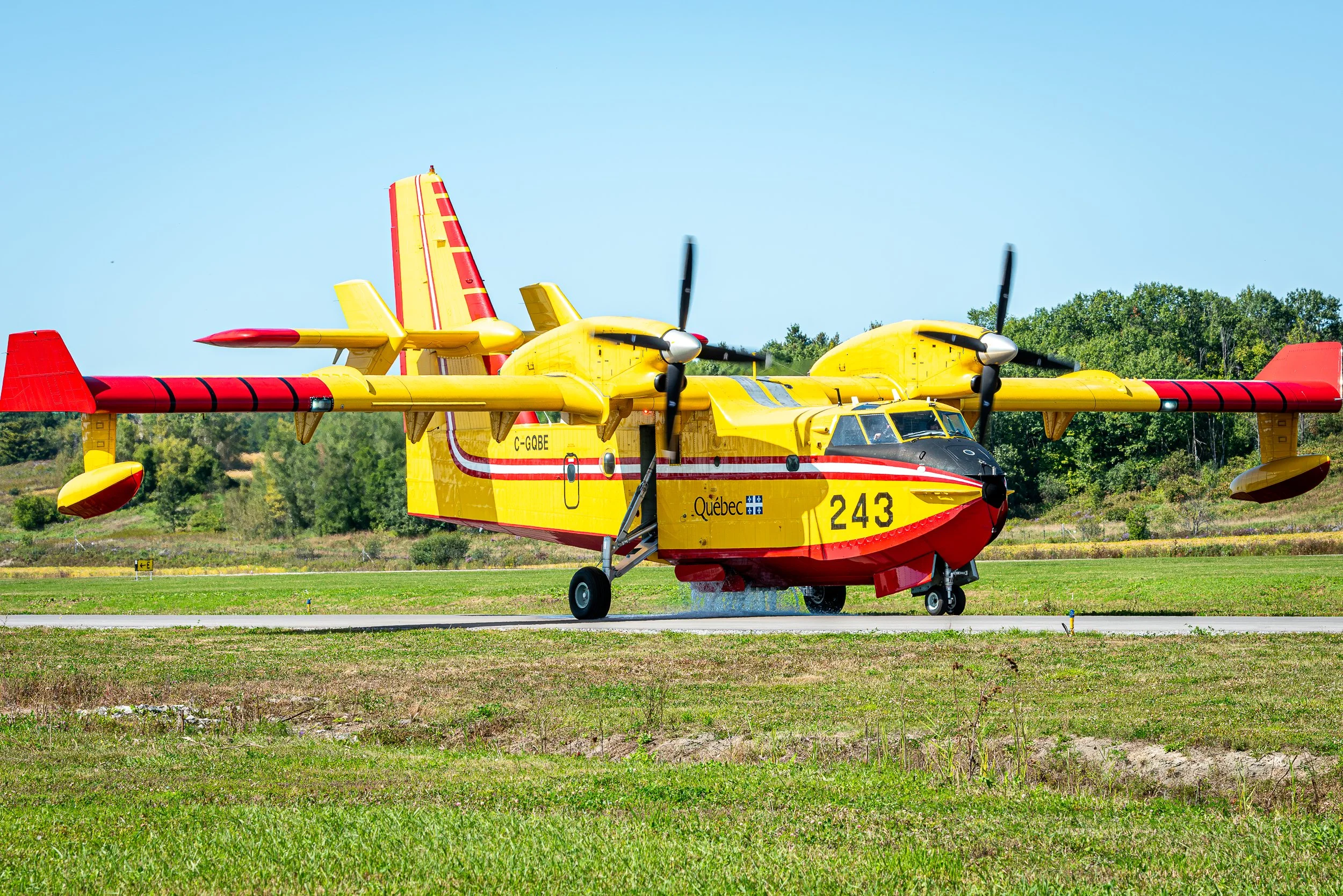 _DSC4209.jpg
