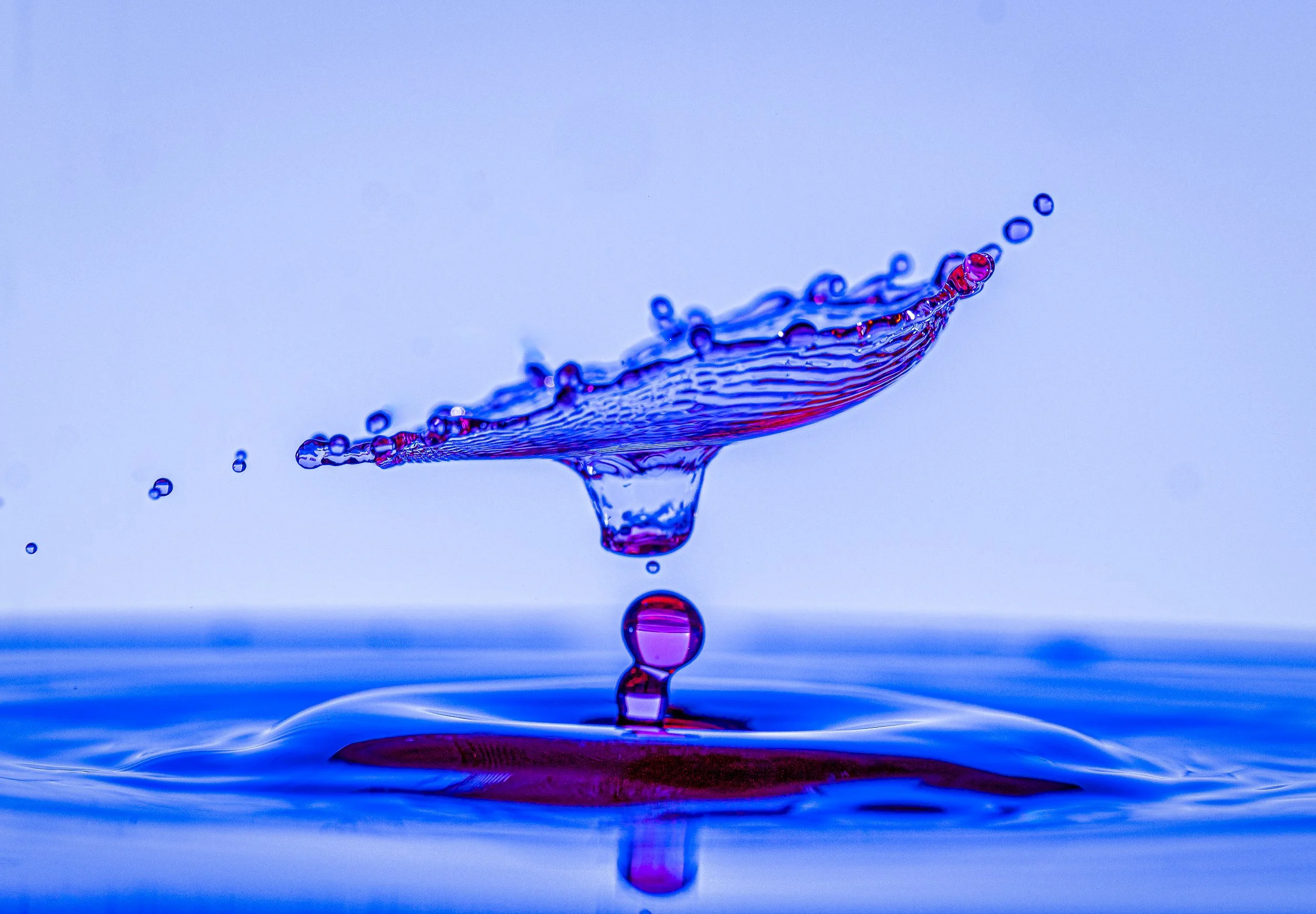 _DM15996-Edit.jpg