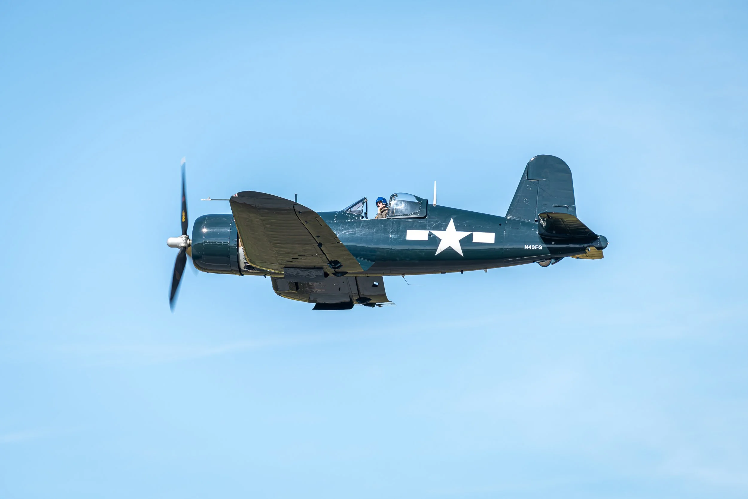 _8502722.jpg