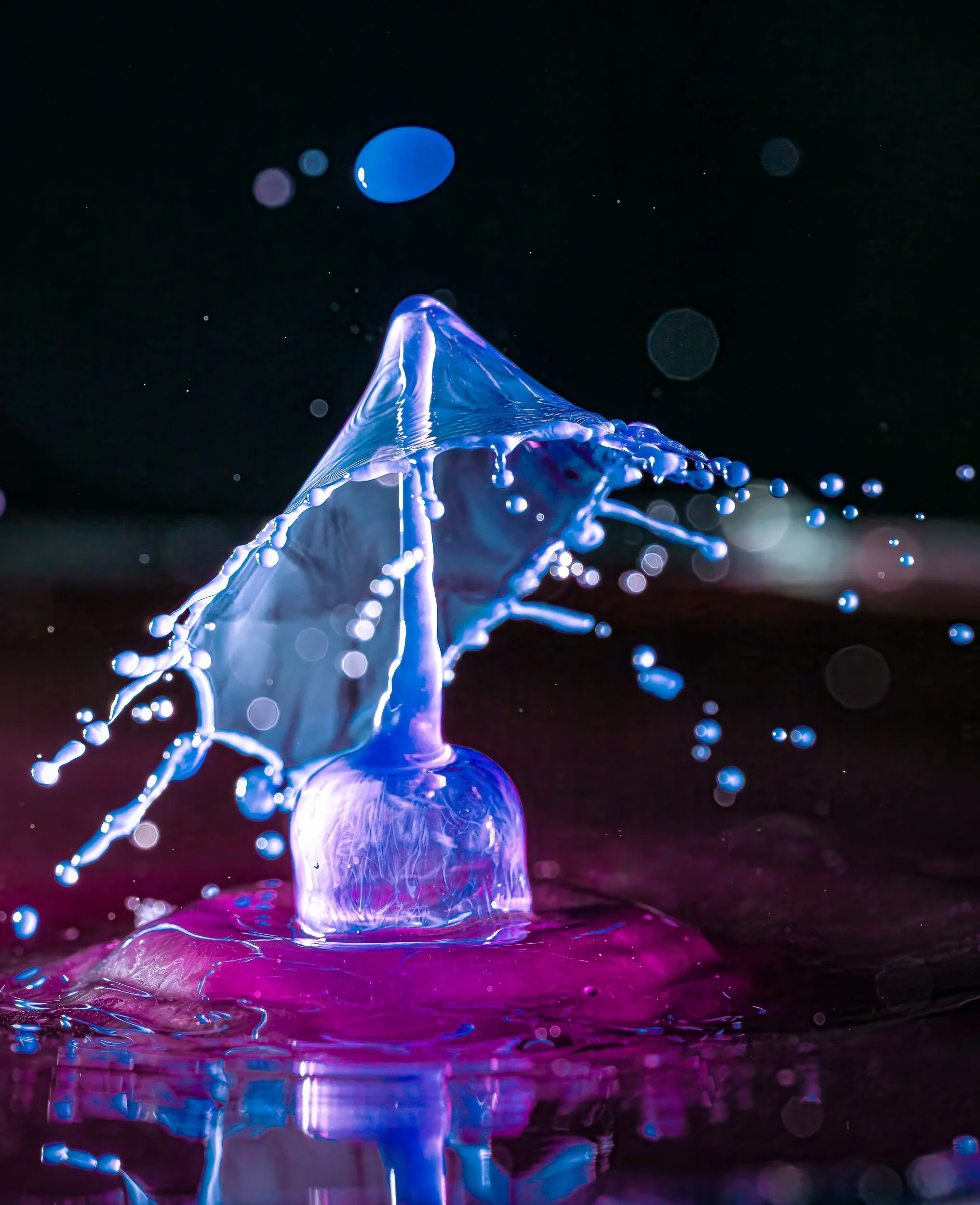 _DM16906-Edit.jpg