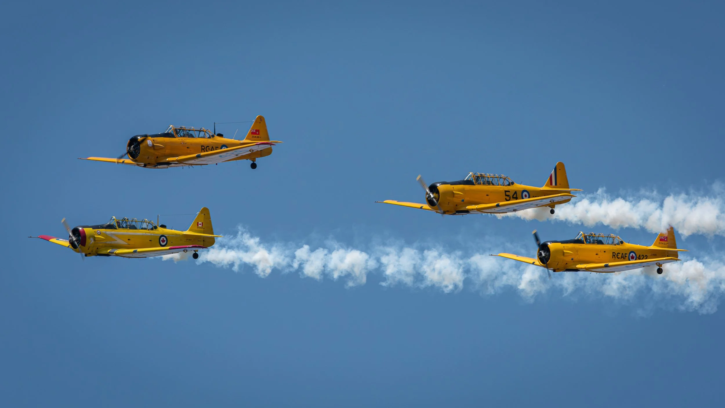 _DSC4473.jpg