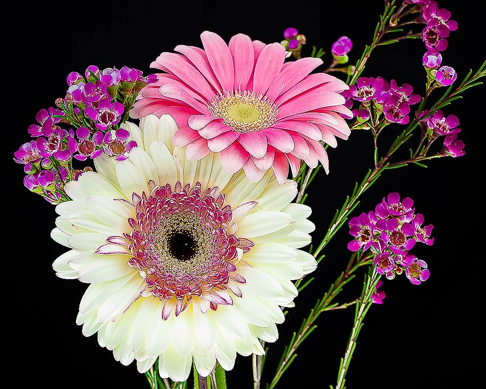 07Apr13 Flowers-129-Edit-2-Edit.jpg