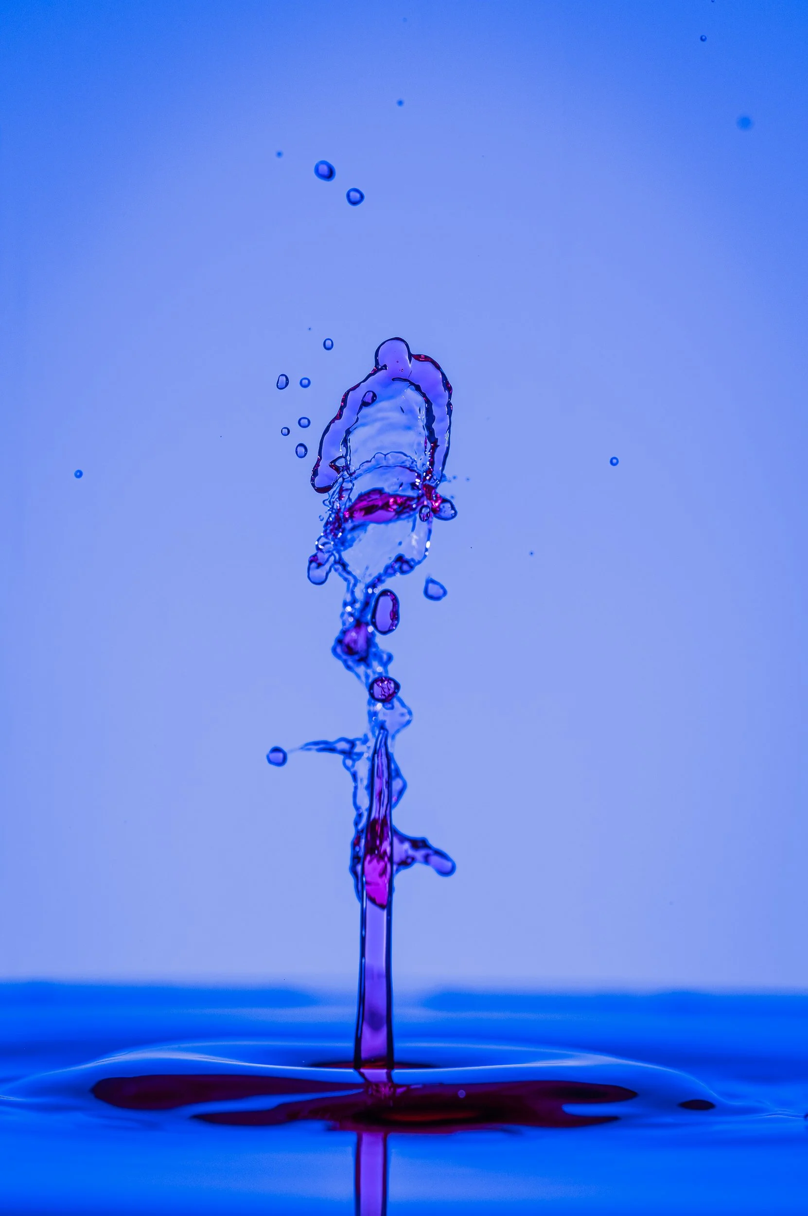 _DM15981.jpg