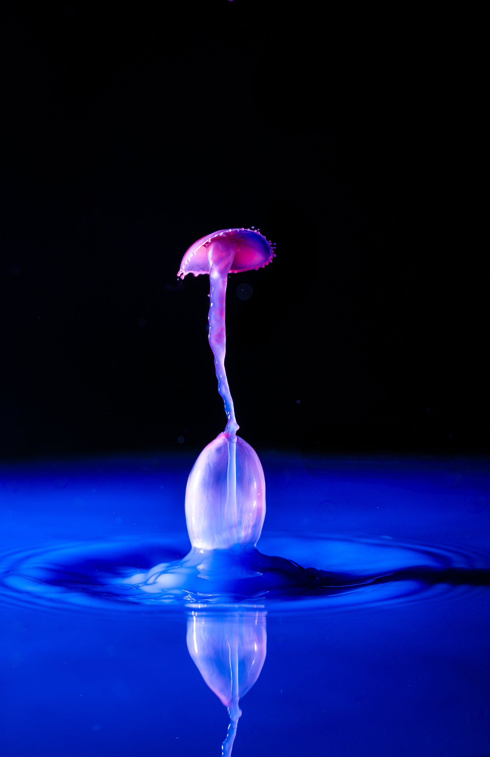 _DM17238-Edit.jpg