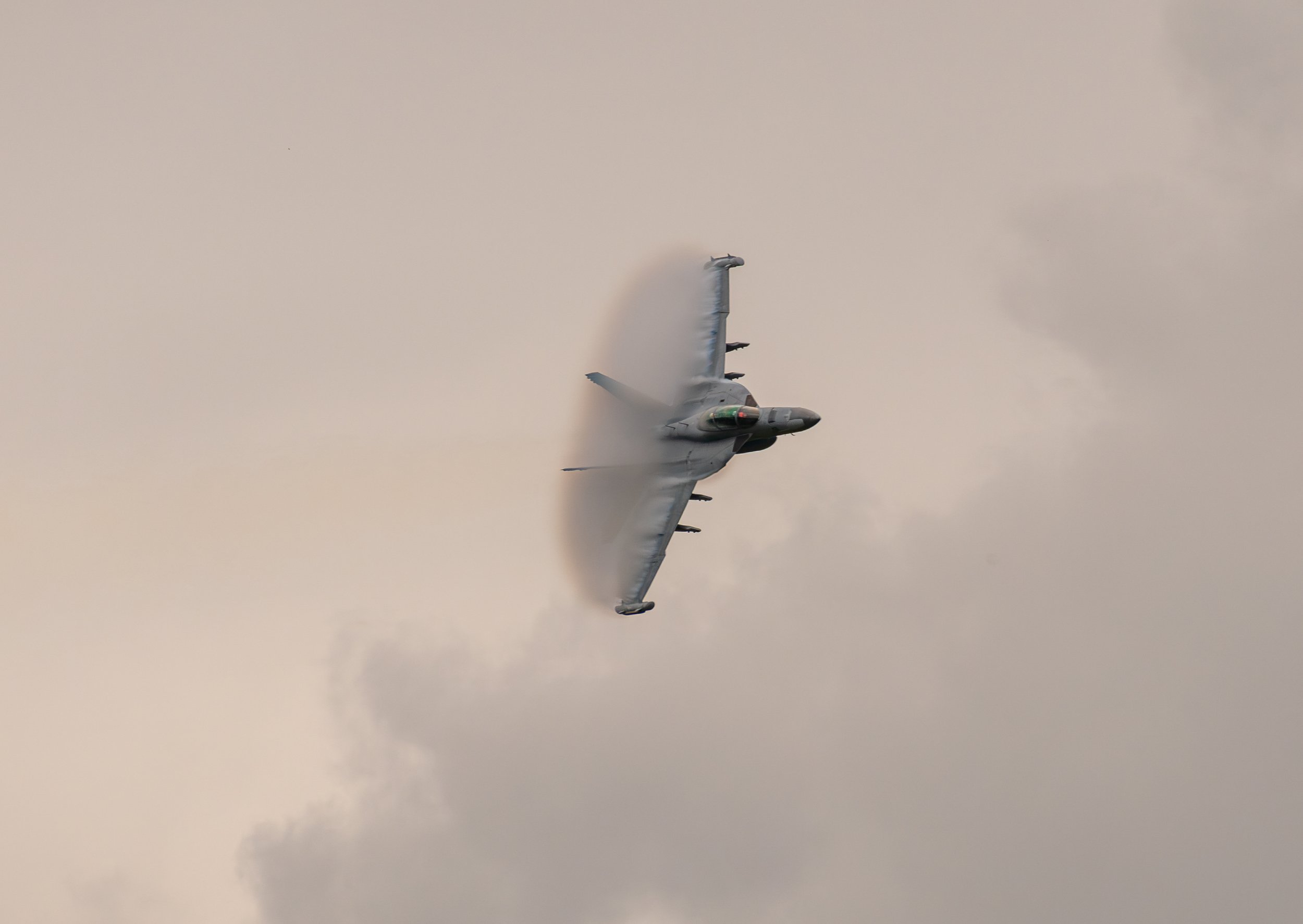 _8501497.jpg