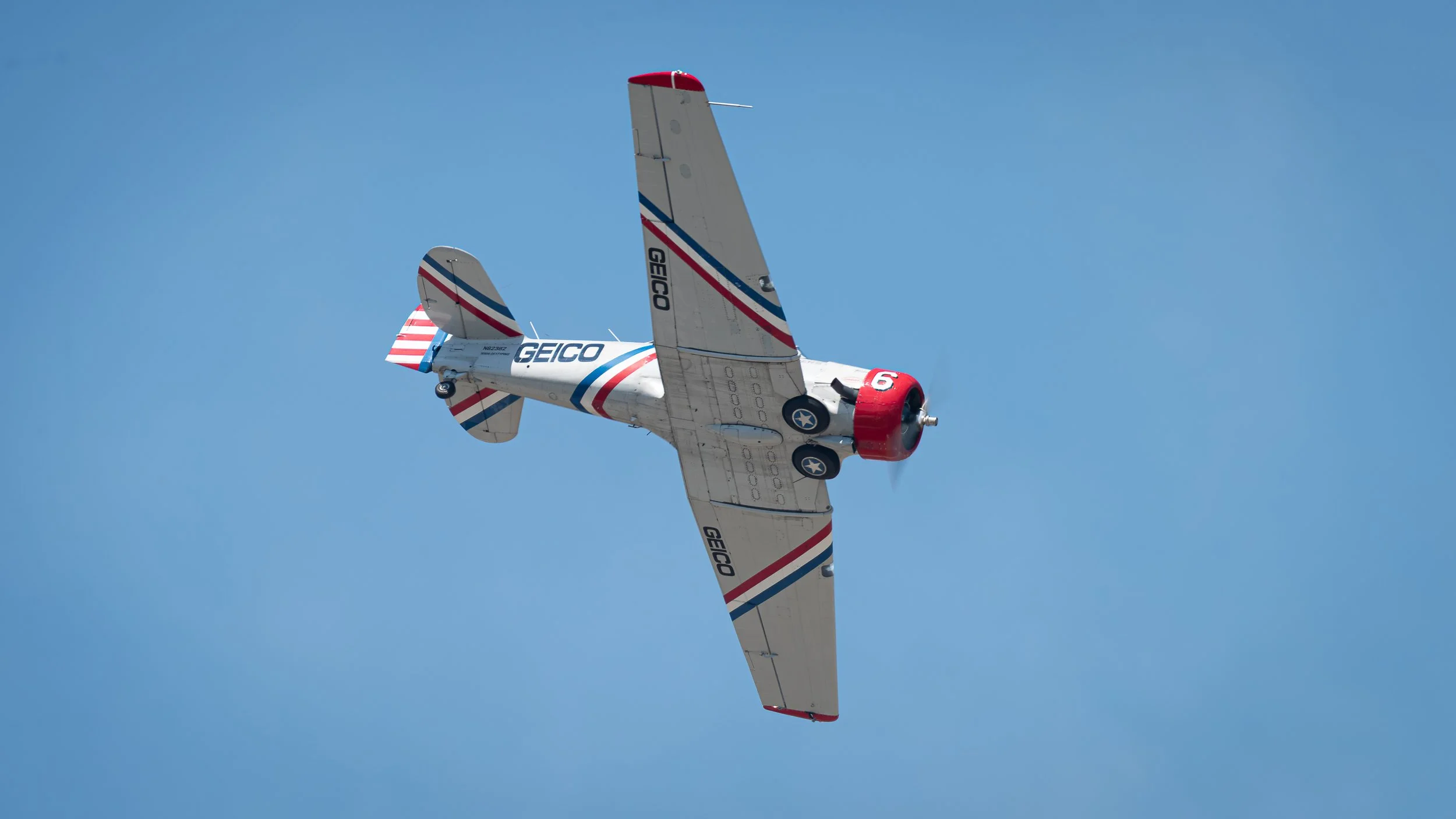 _DSC8532.jpg