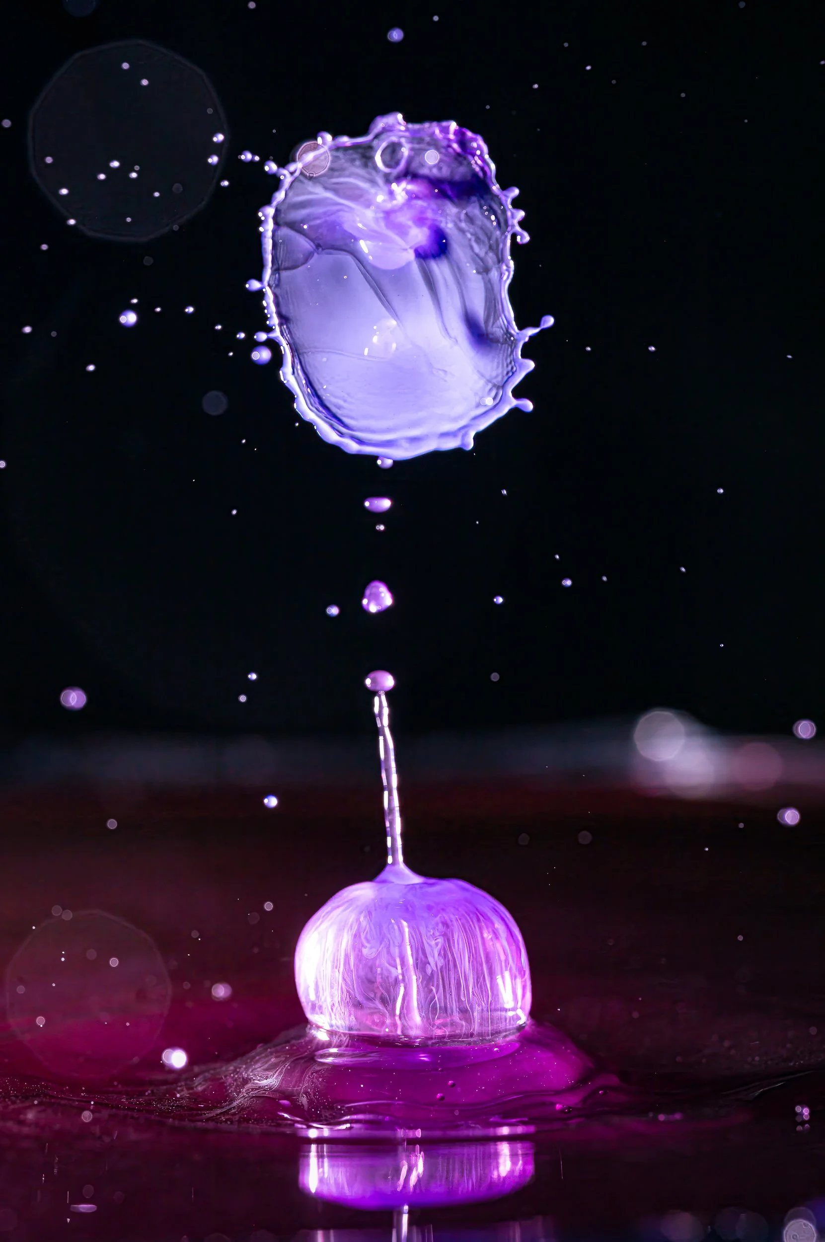 _DM16867-Edit.jpg