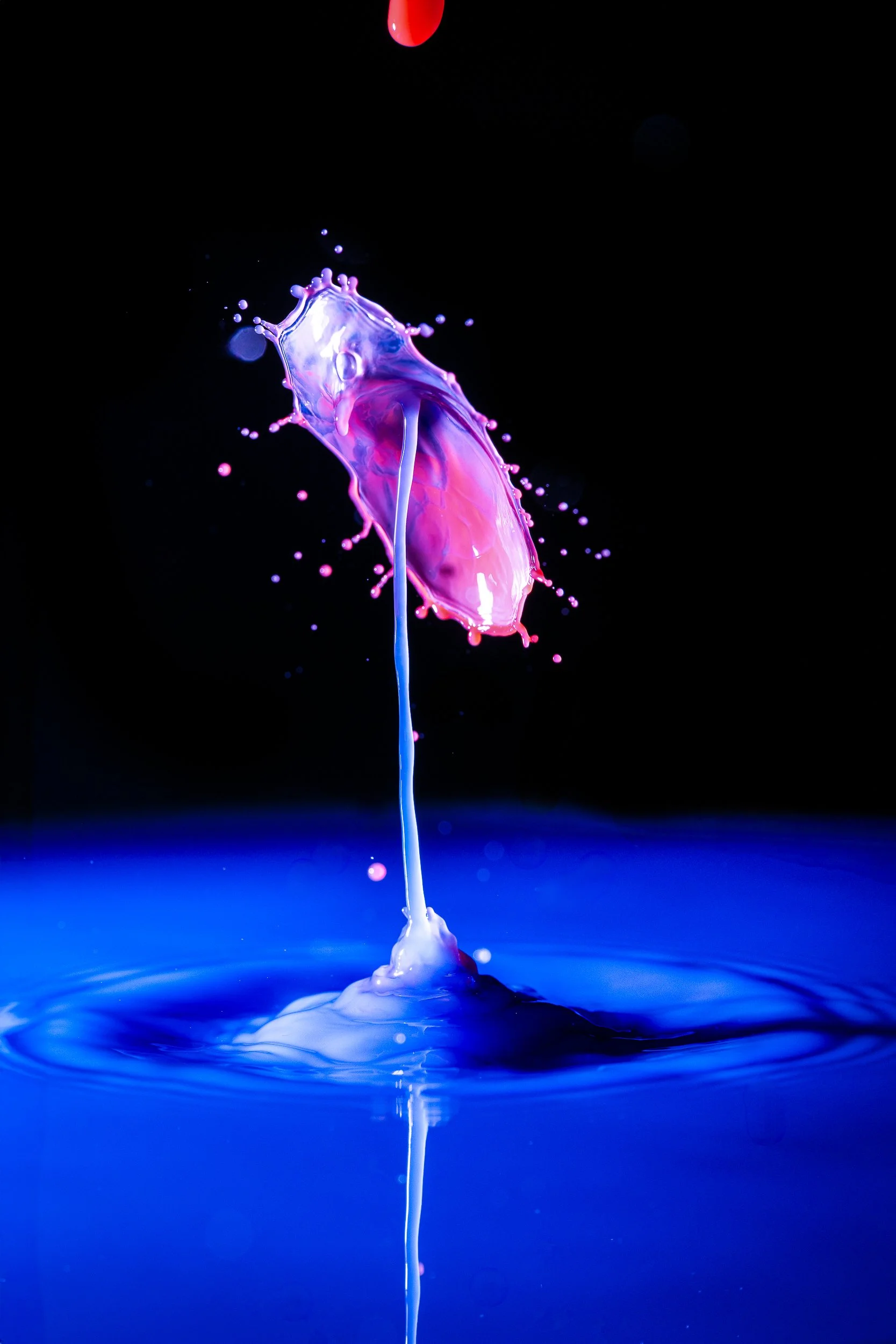 _DM17209-Edit.jpg