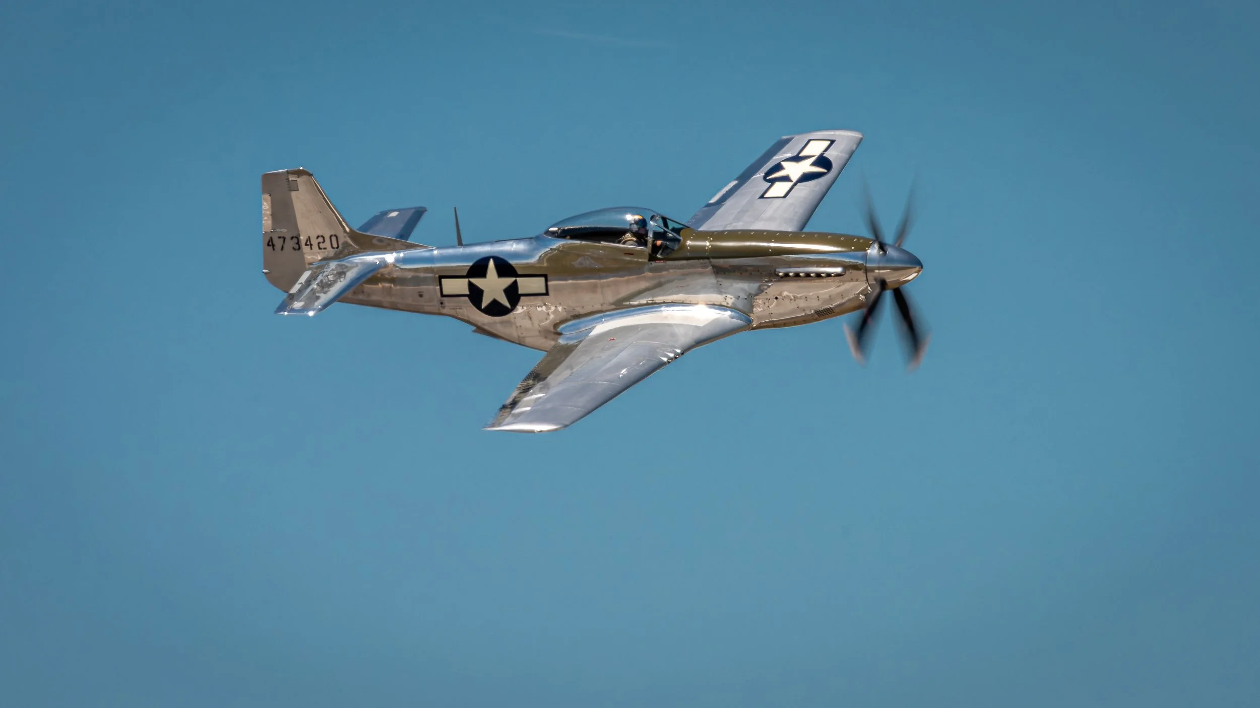_DSC7634.jpg