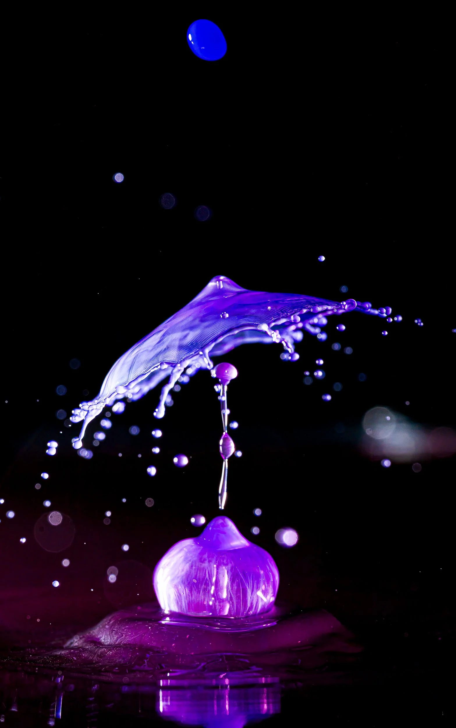 _DM16912-Edit.jpg
