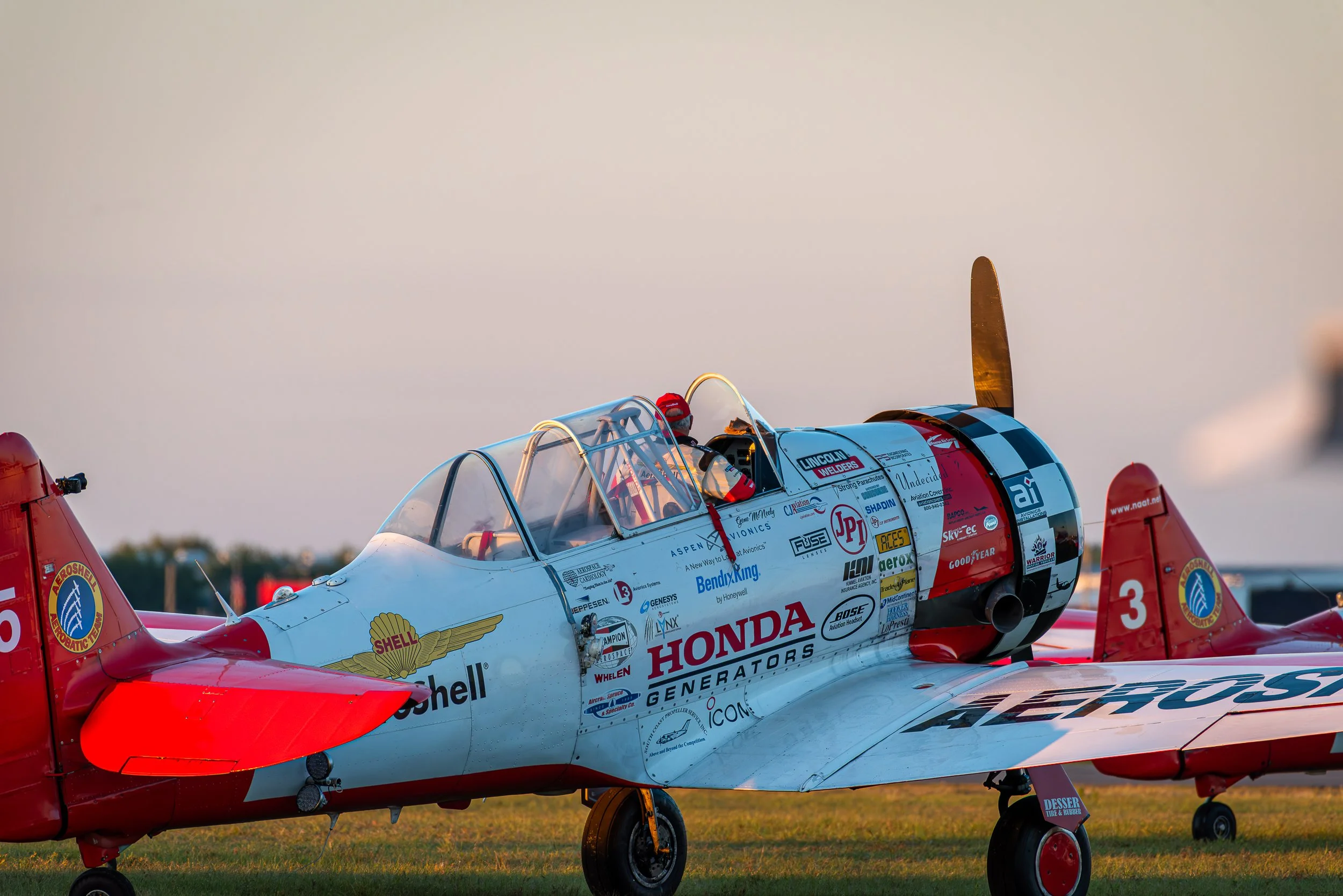 _DSC8988.jpg