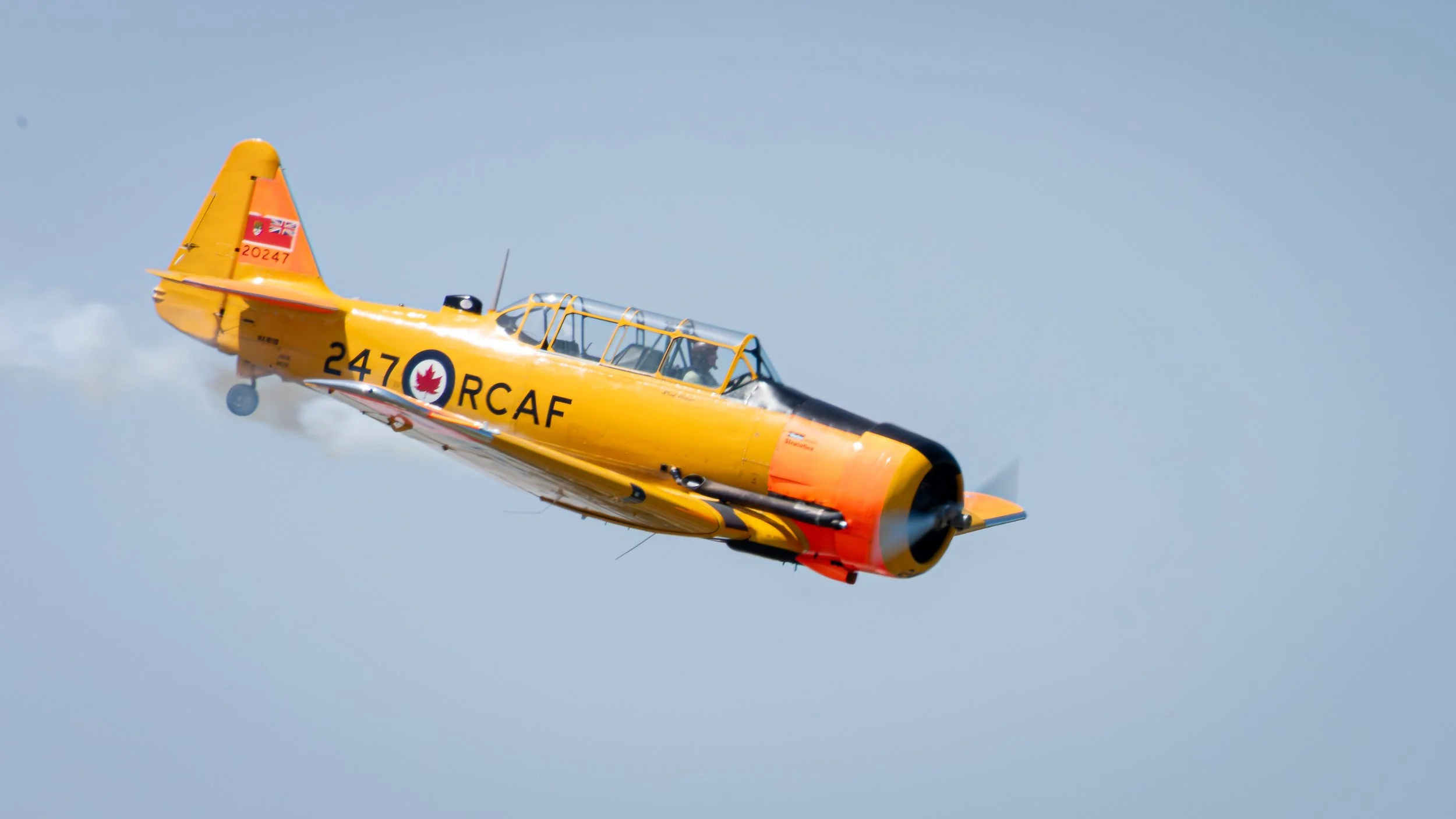 _DSC4166.jpg