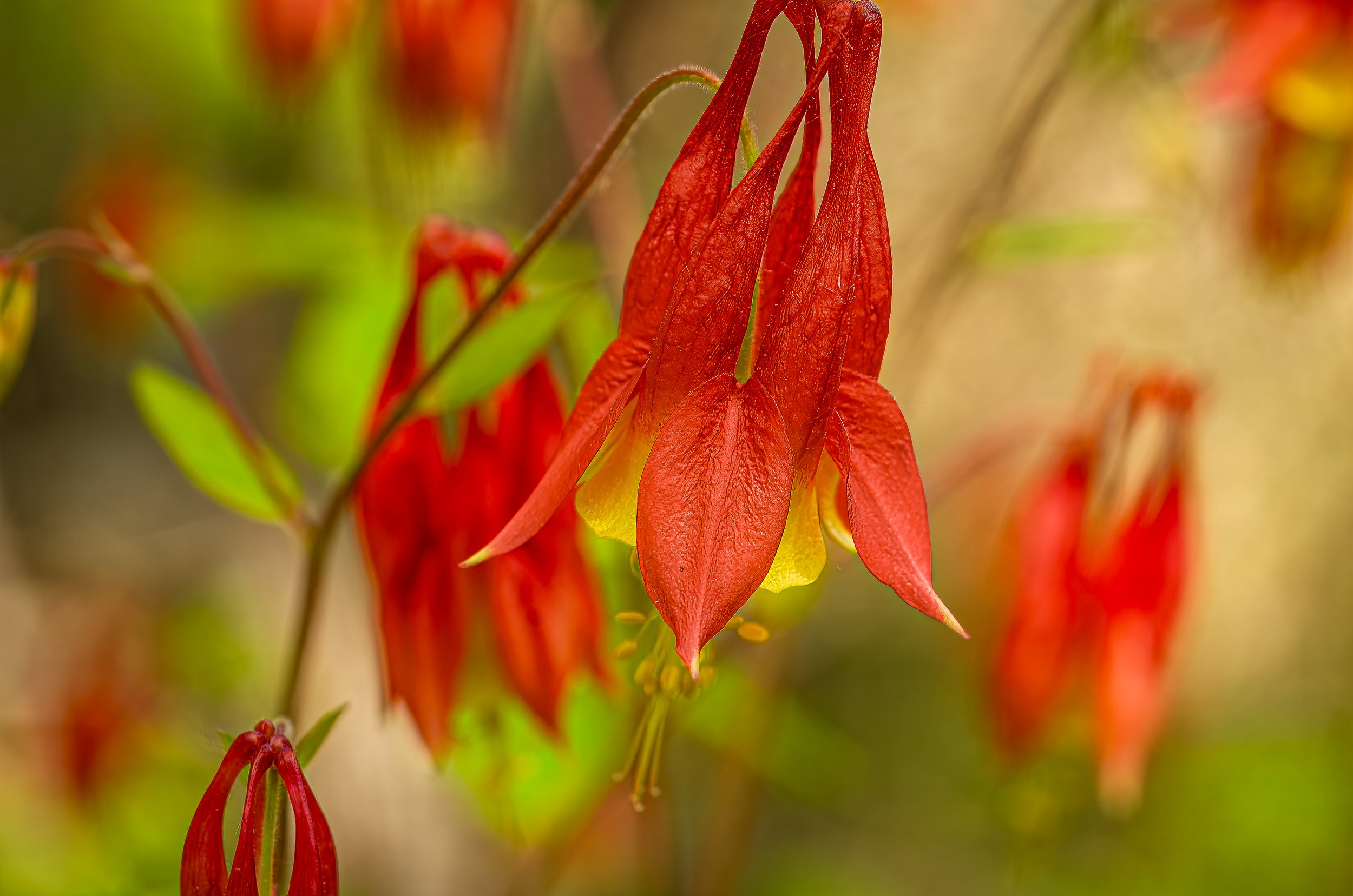 DSC_0475.jpg