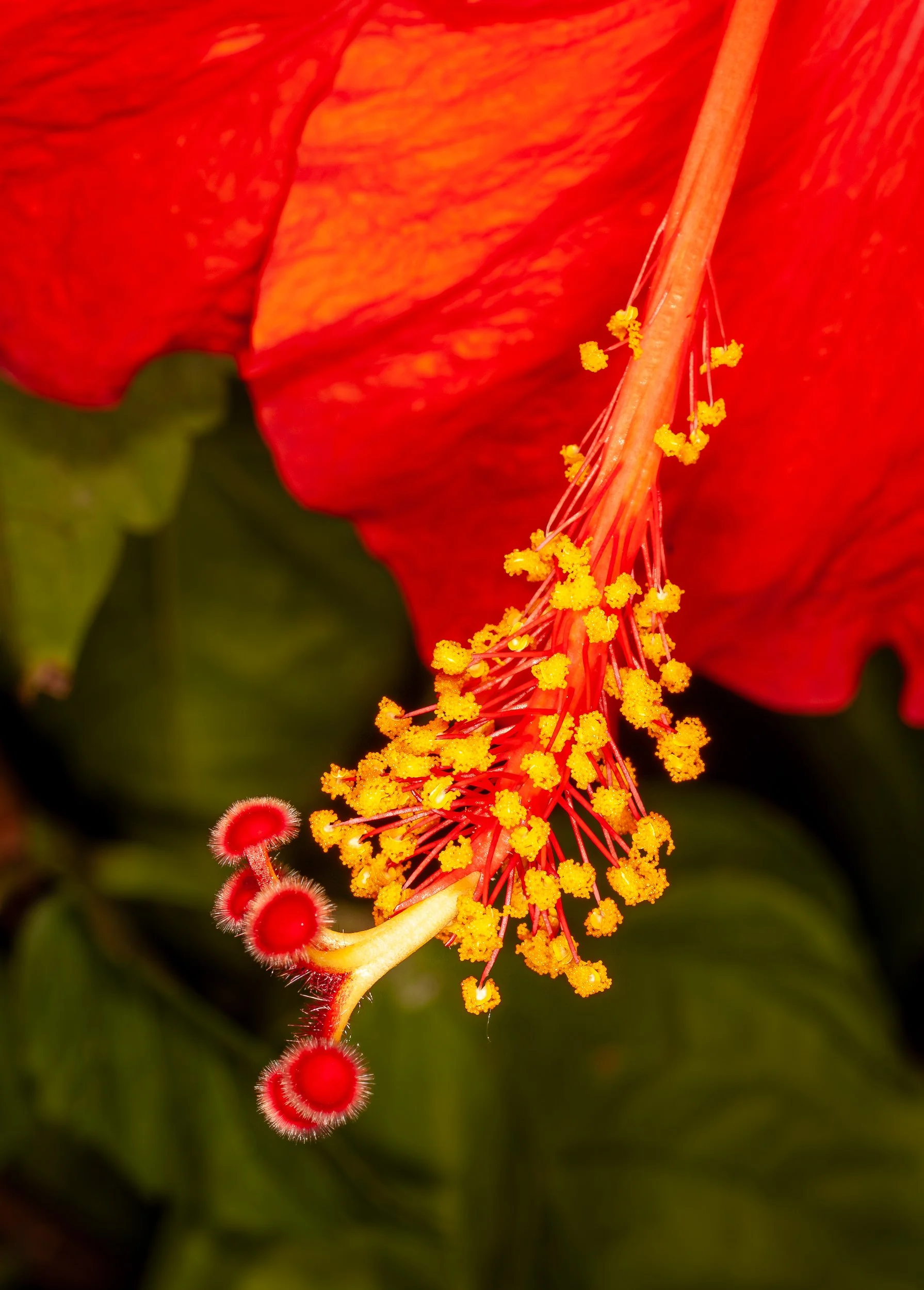 _DSM0458.jpg